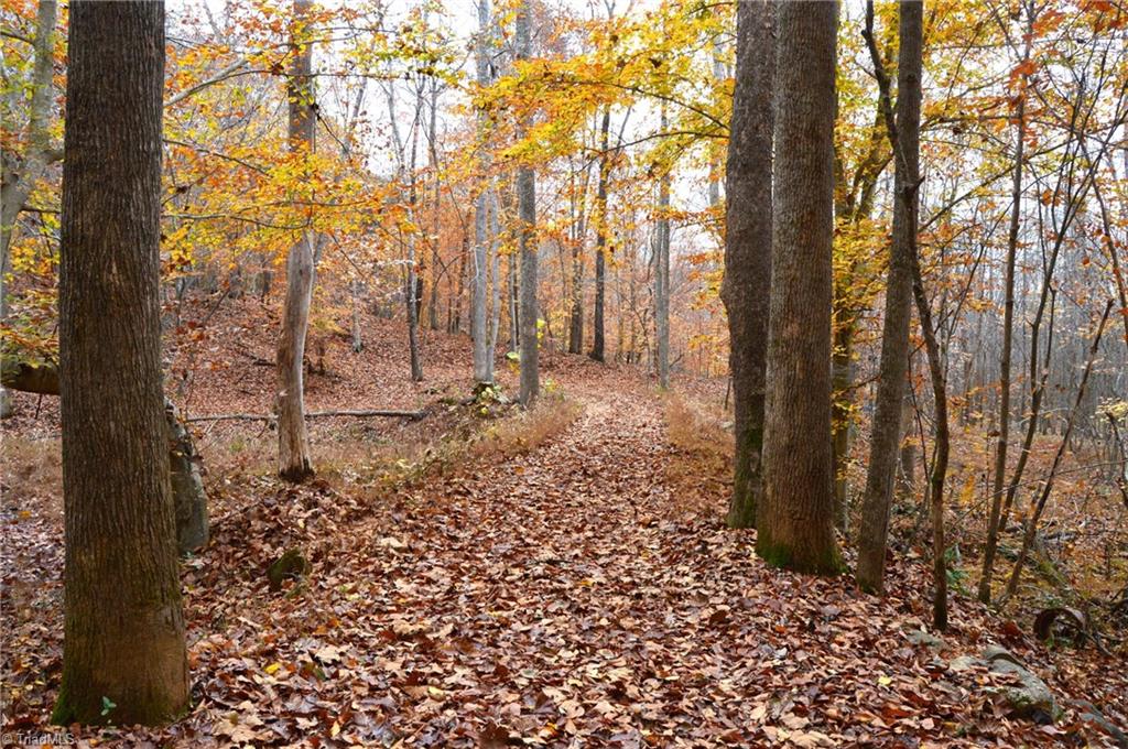 1231 Freeman Road Madison, NC 27025 - Photo 12 of 50