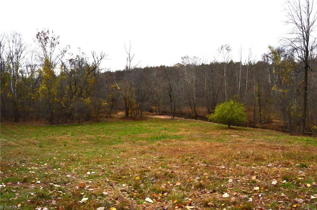 1231 Freeman Road Madison, NC 27025 - Photo 13 of 50