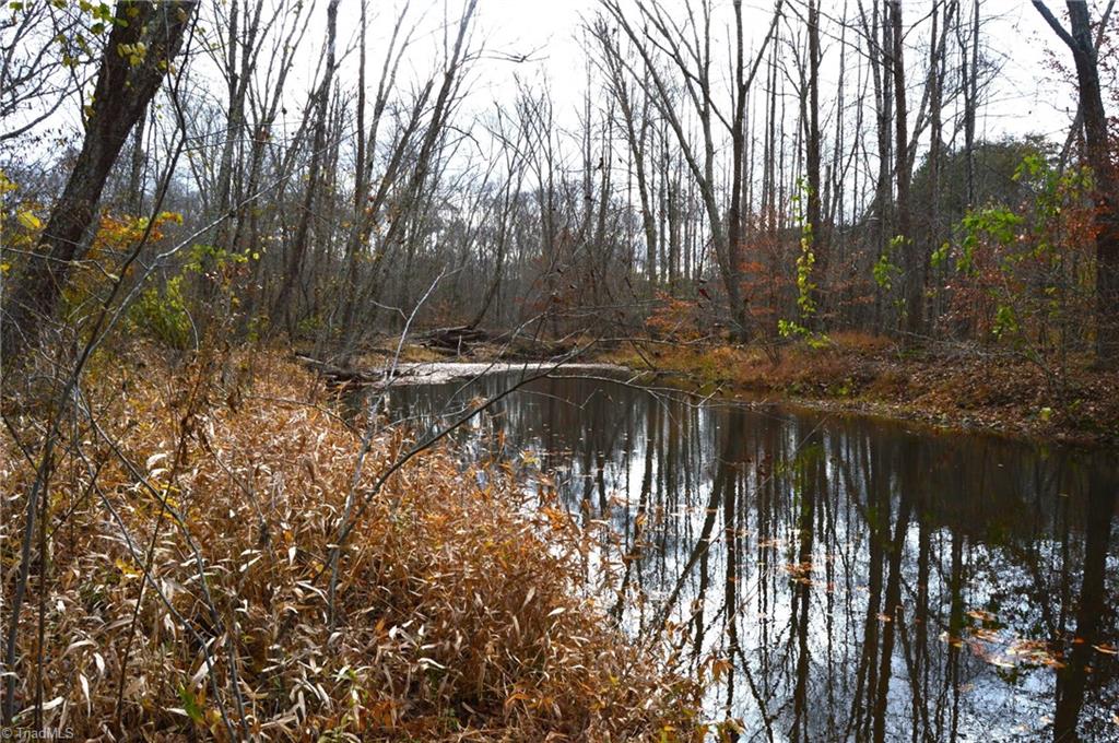 1231 Freeman Road Madison, NC 27025 - Photo 17 of 50