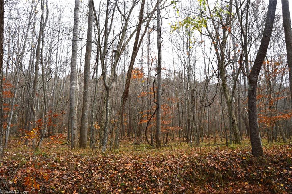 1231 Freeman Road Madison, NC 27025 - Photo 20 of 50