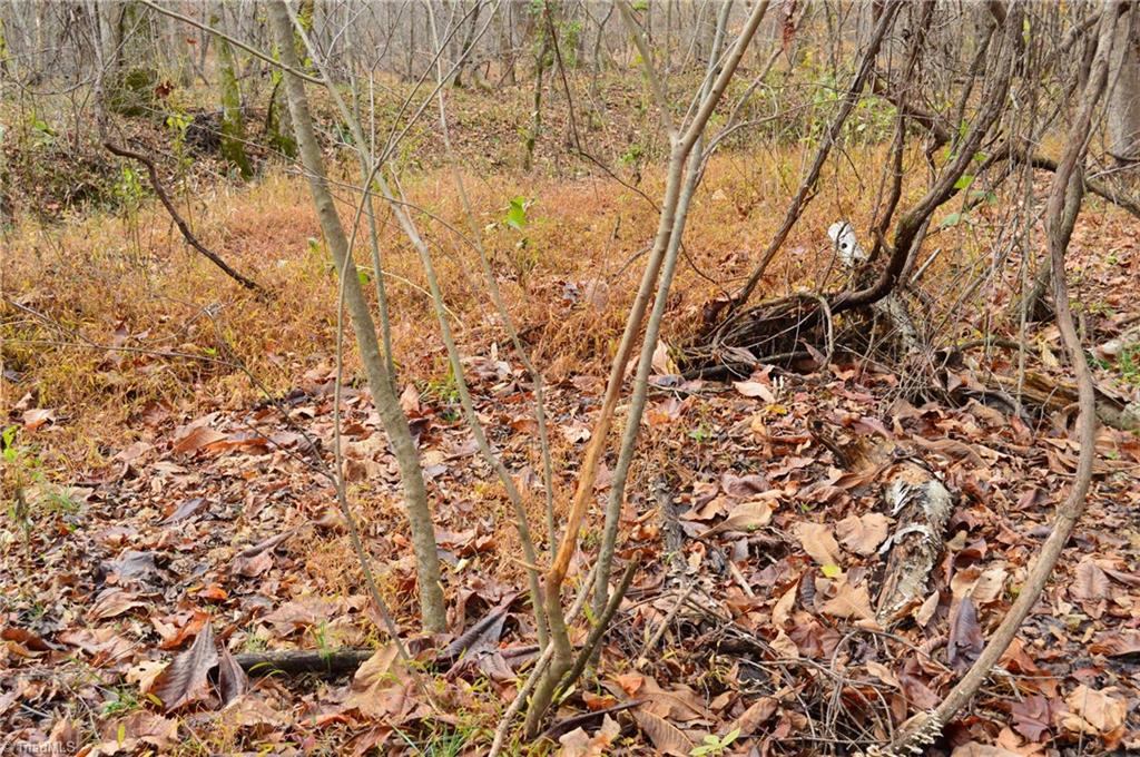 1231 Freeman Road Madison, NC 27025 - Photo 21 of 50