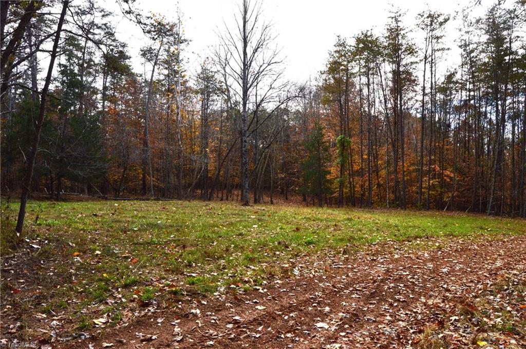 1231 Freeman Road Madison, NC 27025 - Photo 22 of 50