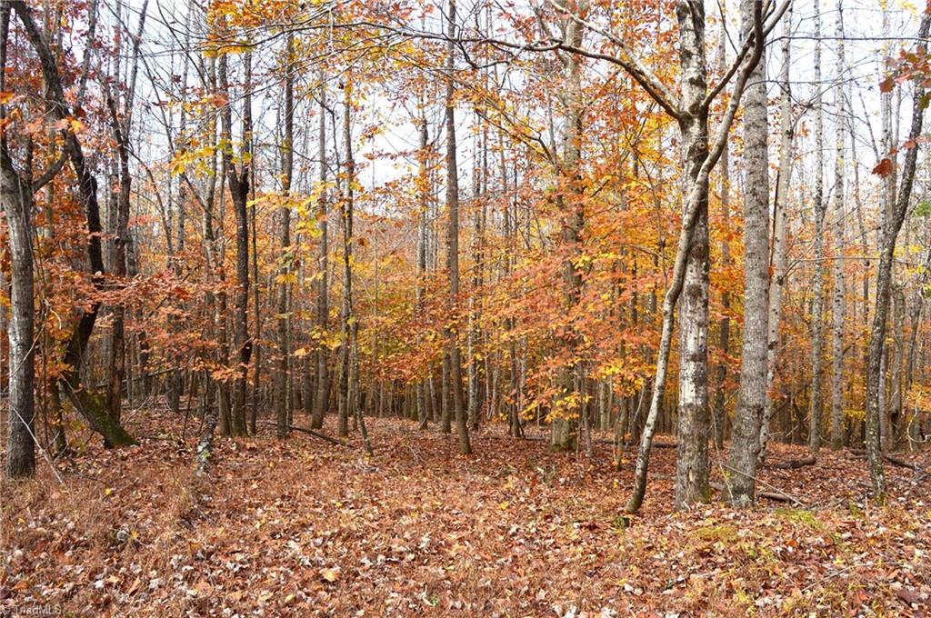 1231 Freeman Road Madison, NC 27025 - Photo 23 of 50