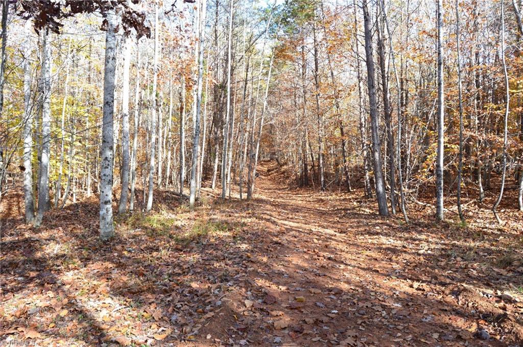 1231 Freeman Road Madison, NC 27025 - Photo 24 of 50