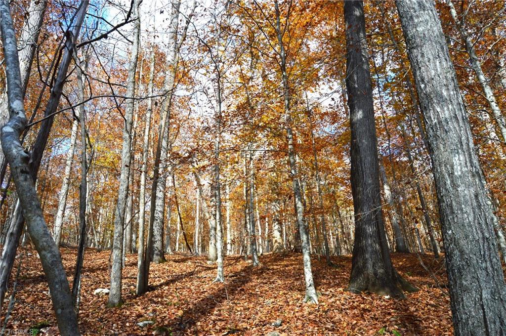 1231 Freeman Road Madison, NC 27025 - Photo 27 of 50
