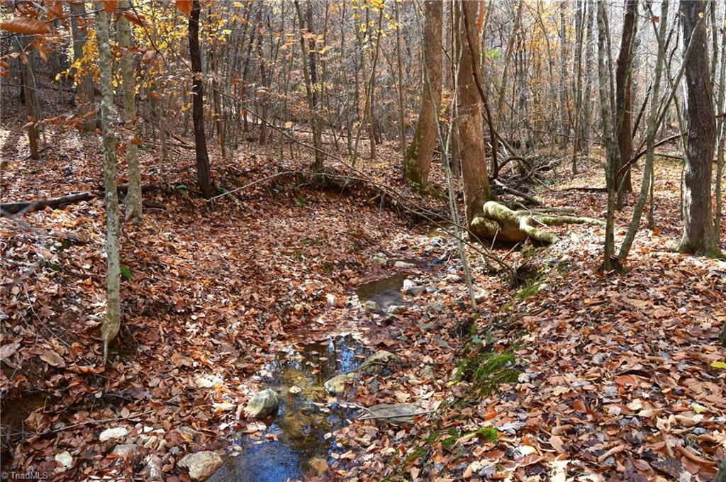 1231 Freeman Road Madison, NC 27025 - Photo 28 of 50