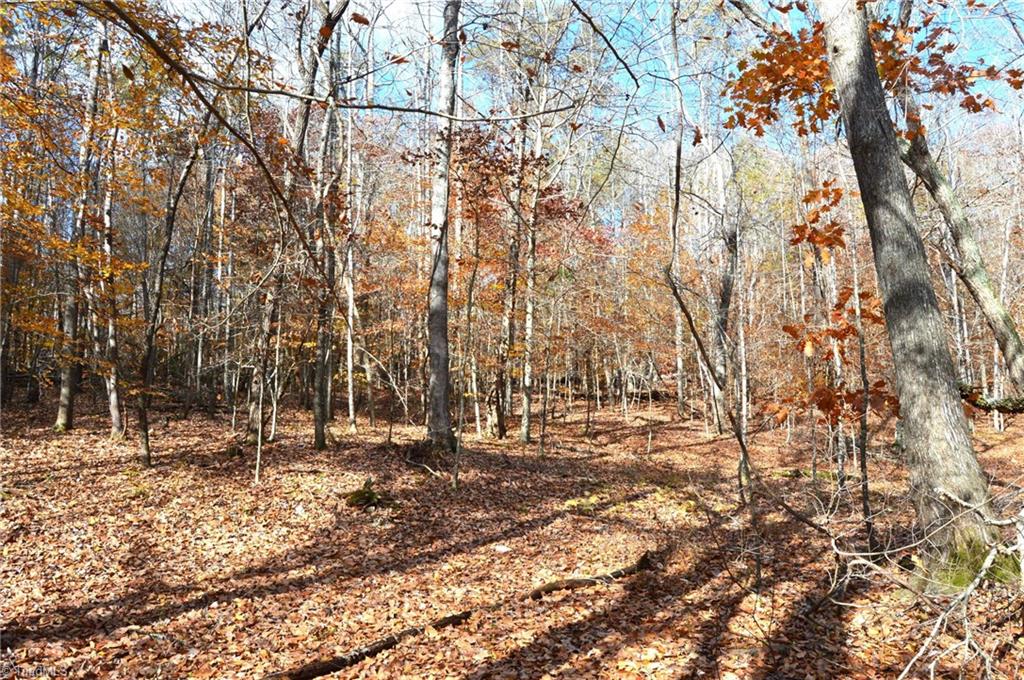 1231 Freeman Road Madison, NC 27025 - Photo 30 of 50