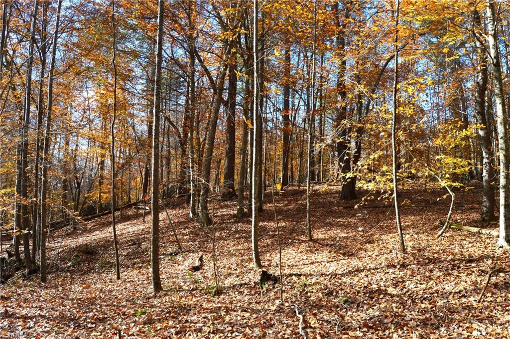 1231 Freeman Road Madison, NC 27025 - Photo 31 of 50