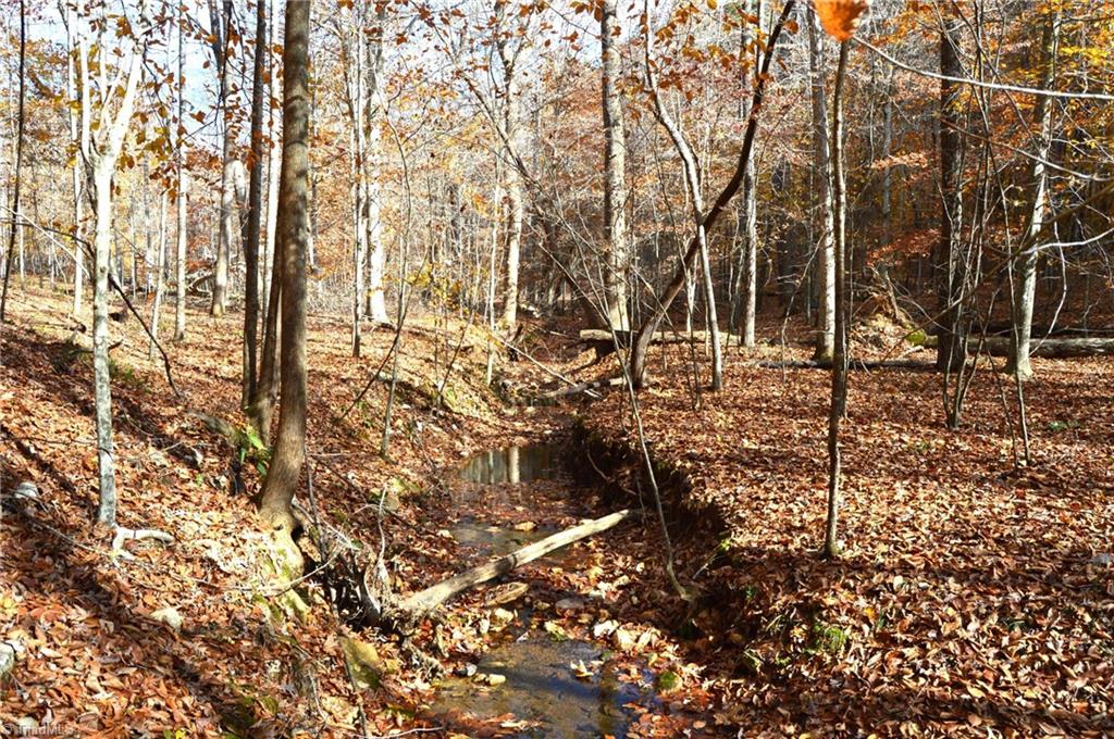 1231 Freeman Road Madison, NC 27025 - Photo 32 of 50