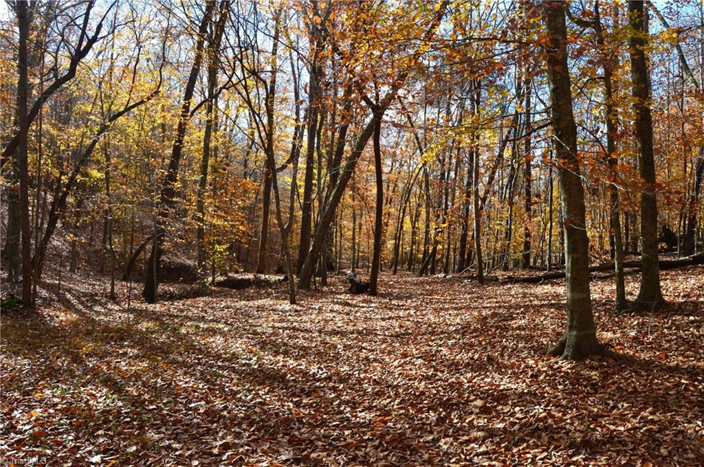 1231 Freeman Road Madison, NC 27025 - Photo 33 of 50