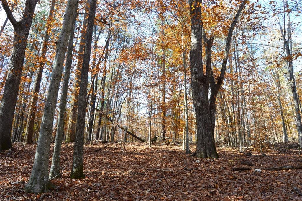 1231 Freeman Road Madison, NC 27025 - Photo 38 of 50