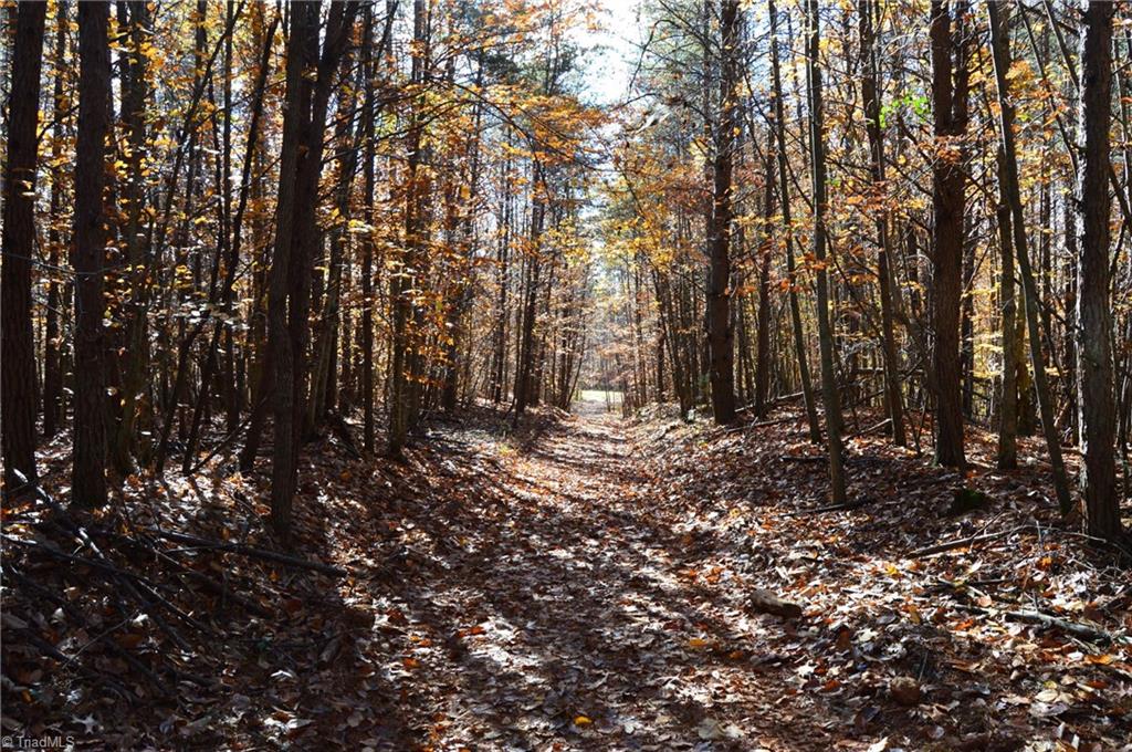 1231 Freeman Road Madison, NC 27025 - Photo 39 of 50