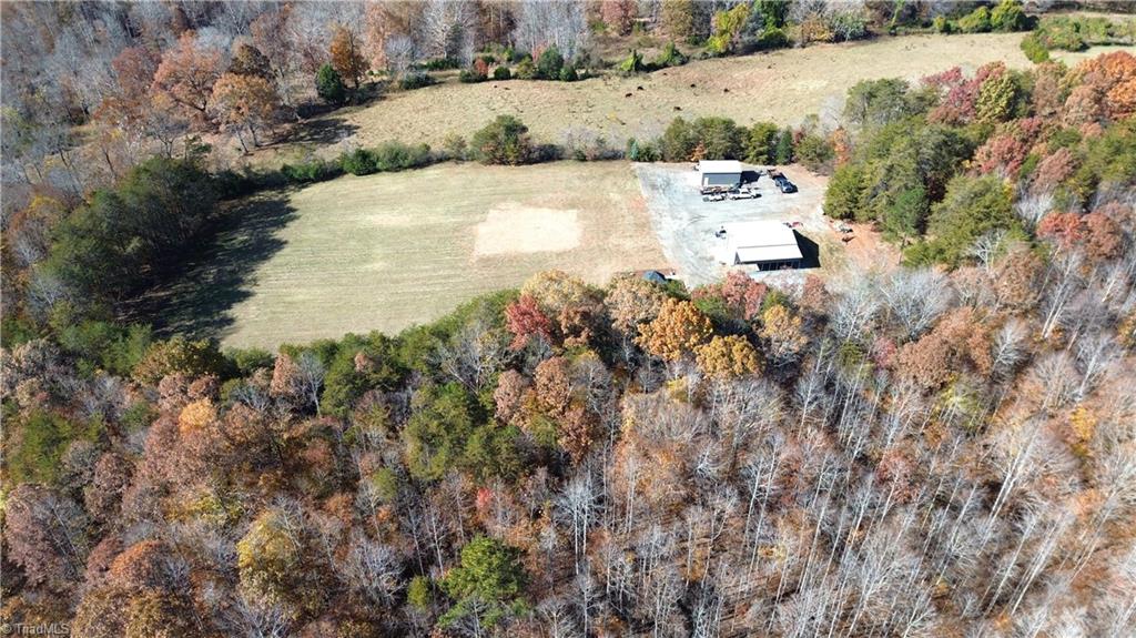 1231 Freeman Road Madison, NC 27025 - Photo 5 of 50