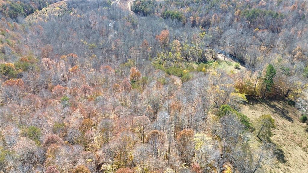1231 Freeman Road Madison, NC 27025 - Photo 7 of 50