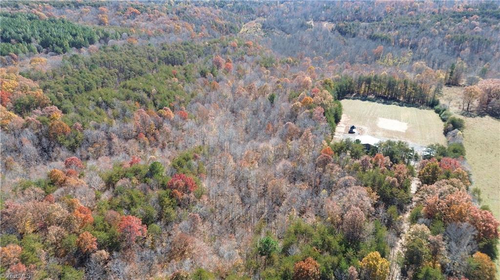 1231 Freeman Road Madison, NC 27025 - Photo 8 of 50