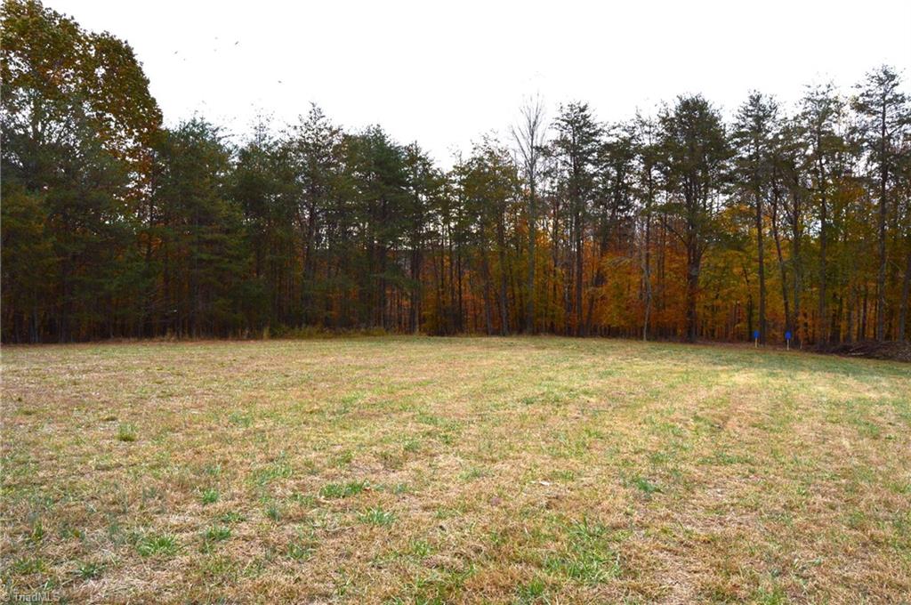 1231 Freeman Road Madison, NC 27025 - Photo 9 of 50