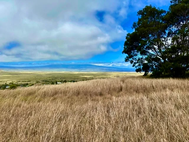 a view of an ocean beach