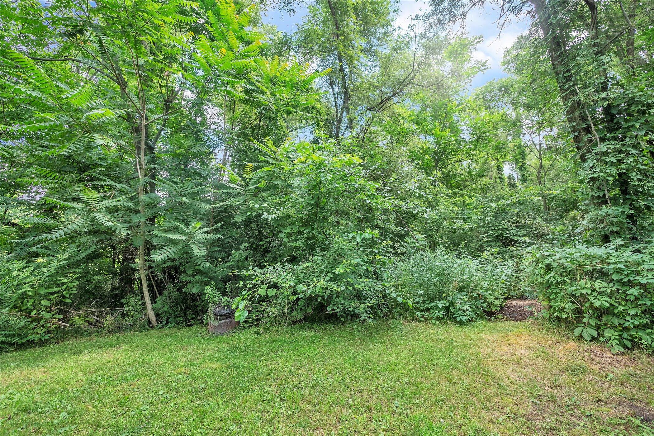 5078 Whites Bridge Road Belding, MI 48809 - Photo 46 of 46 46-5078-Whites-Bridge-Rd-WindowStill-Rea