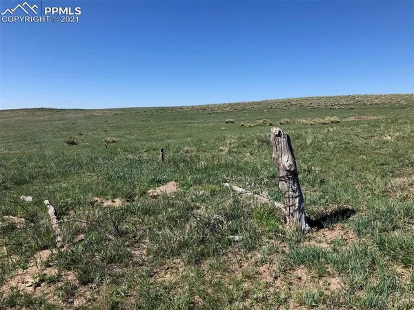 a view of a field with an ocean