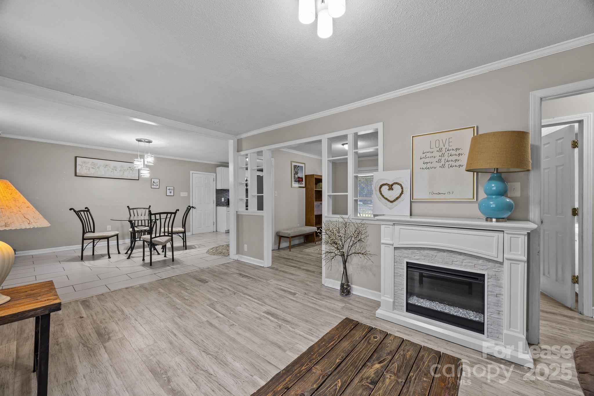 10751 Ola Drive Fort Mill, SC 29707 - Photo 4 of 22 a living room with furniture and a fireplace