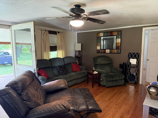 166 Indiana Avenue Ethridge, TN 38456 - Photo 7 of 18 a living room with furniture ceiling fan and a window