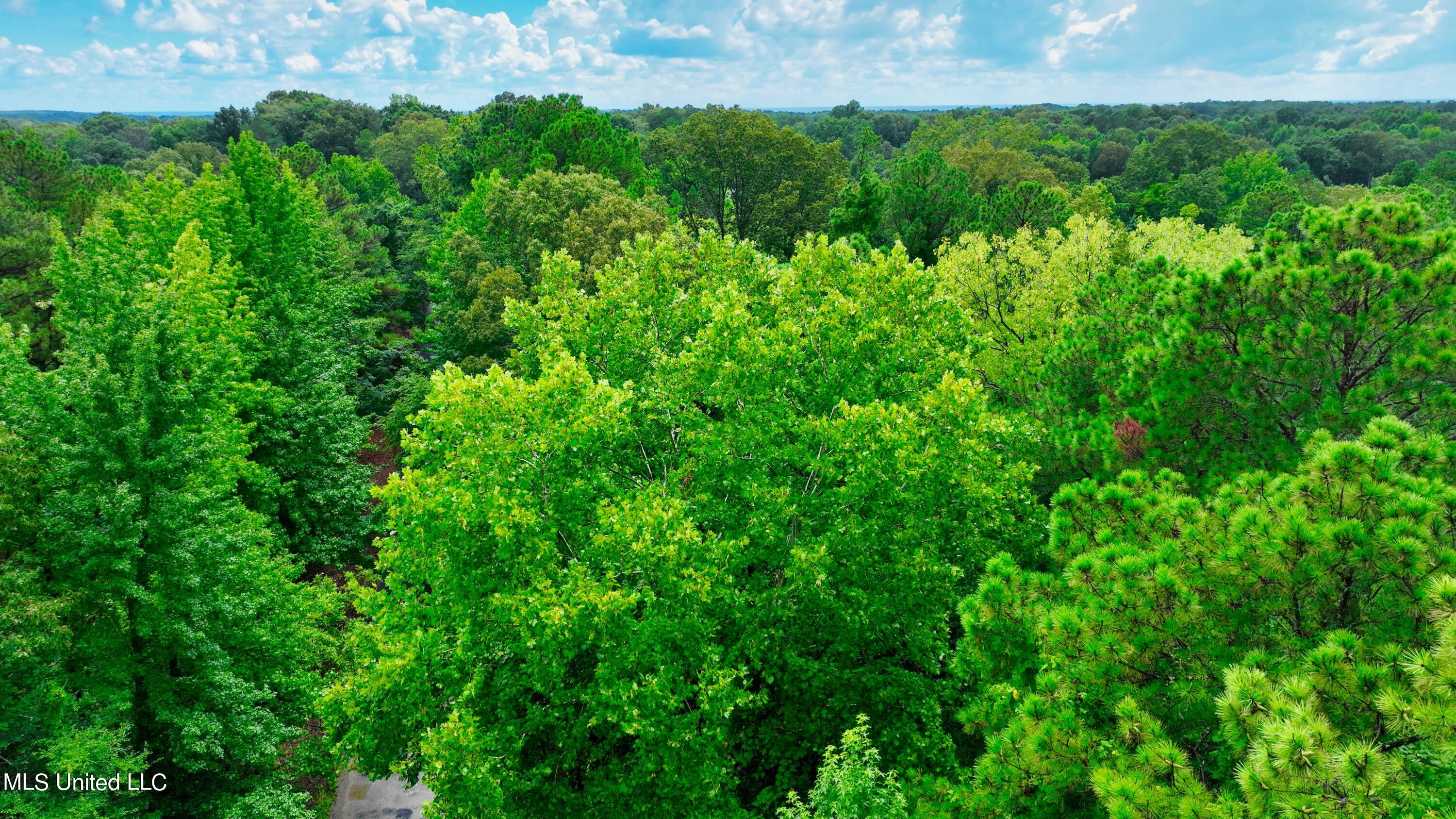 3900 Holly Grove Road Como, MS 38619 - Photo 11 of 61 DJI_0027