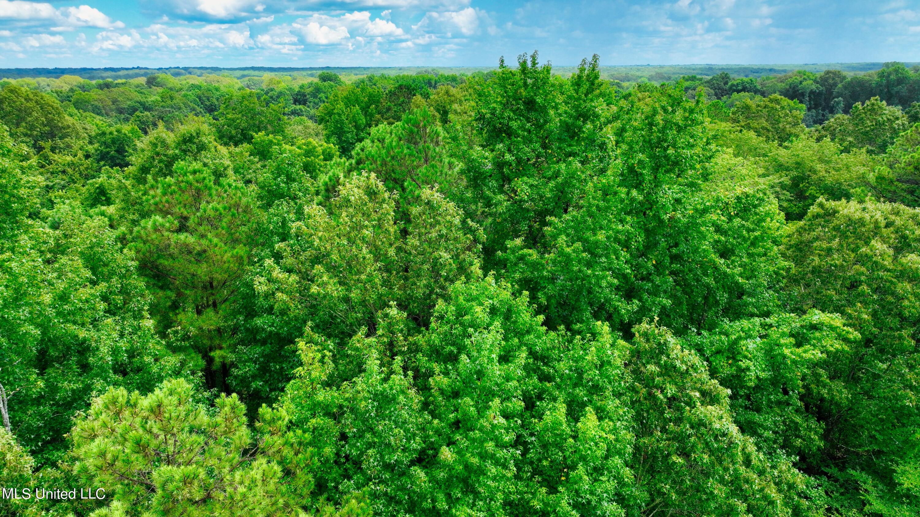 3900 Holly Grove Road Como, MS 38619 - Photo 12 of 61 DJI_0028