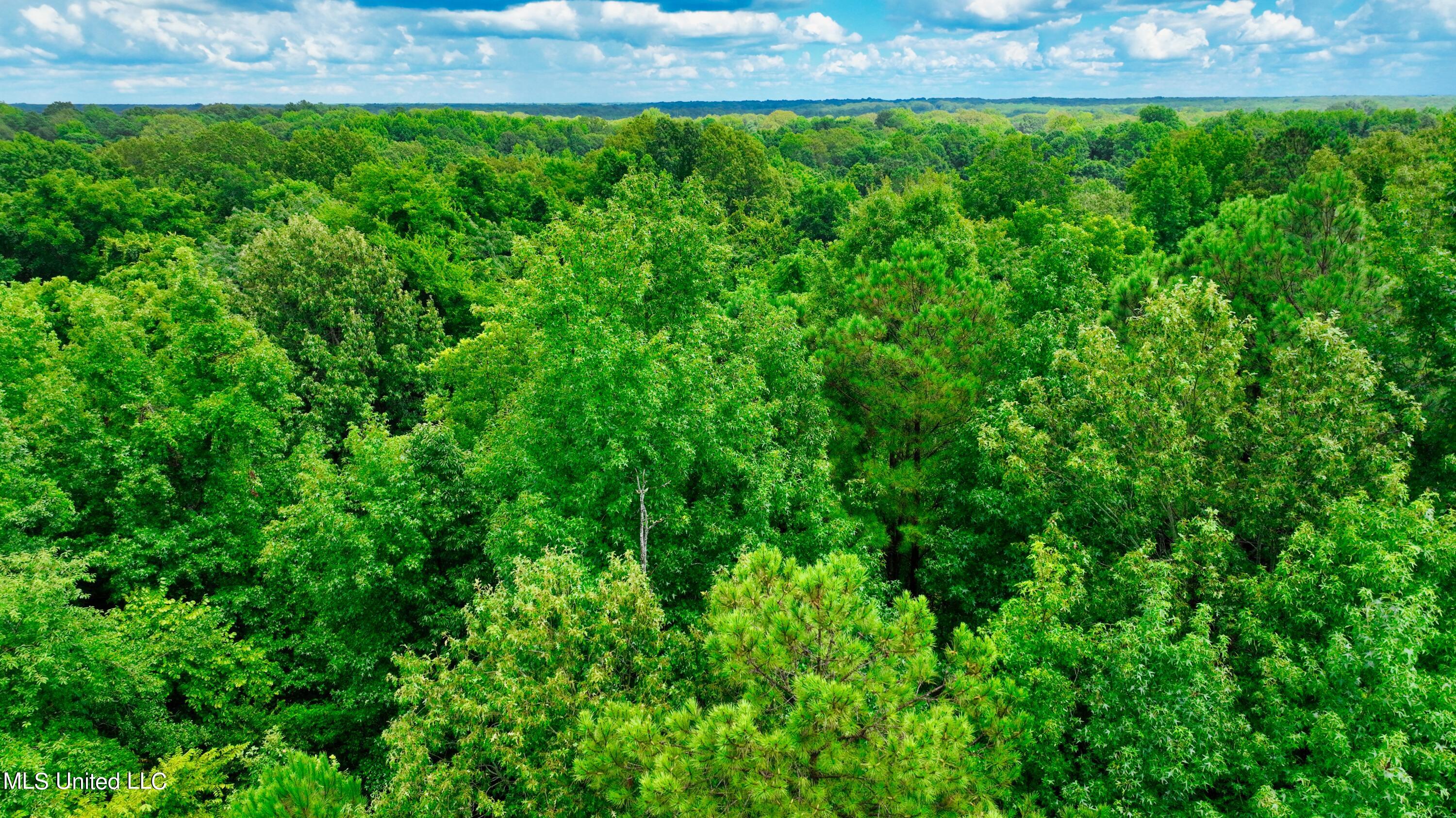 3900 Holly Grove Road Como, MS 38619 - Photo 13 of 61 DJI_0029