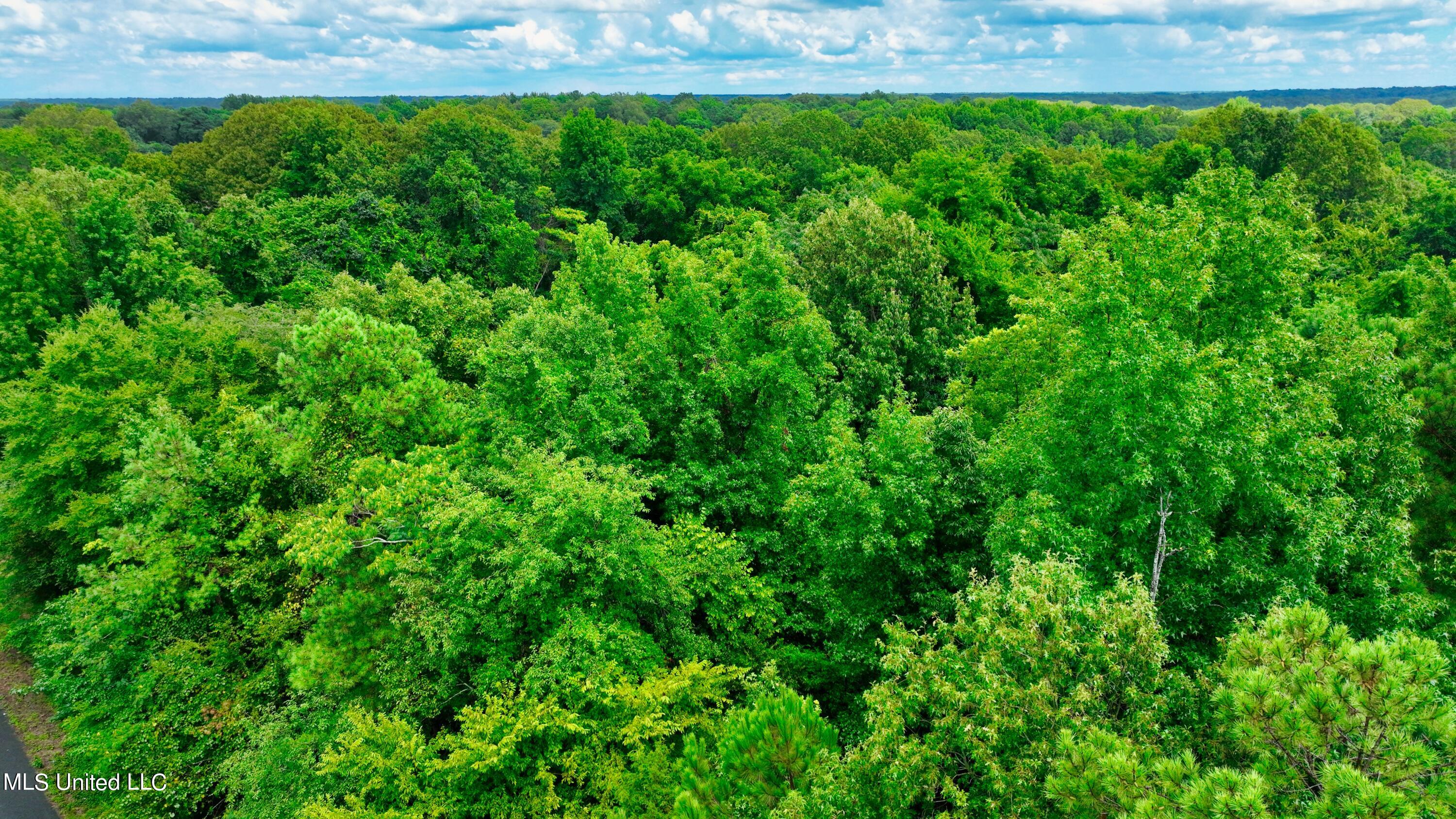 3900 Holly Grove Road Como, MS 38619 - Photo 14 of 61 DJI_0030