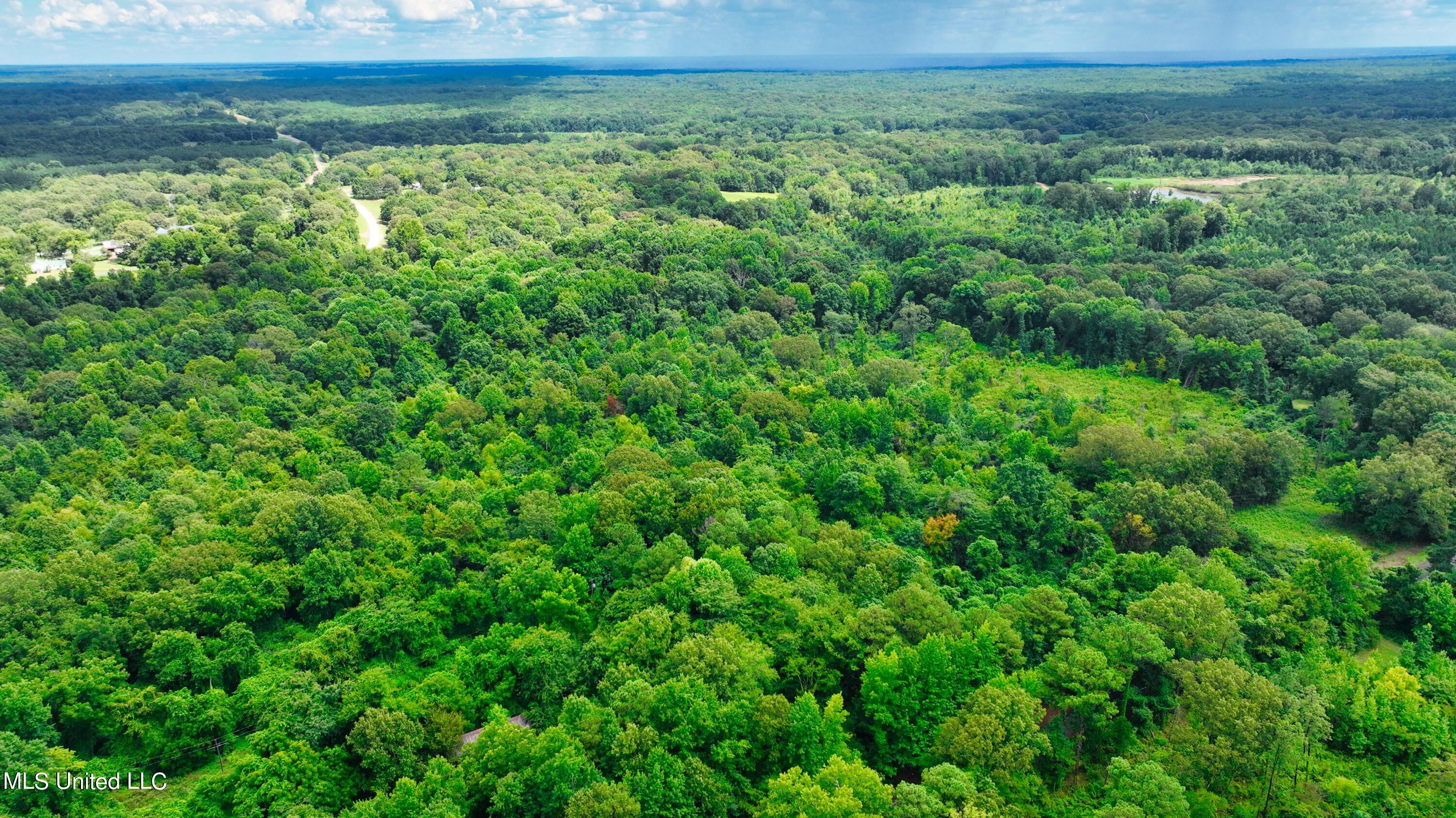 3900 Holly Grove Road Como, MS 38619 - Photo 15 of 61 DJI_0031