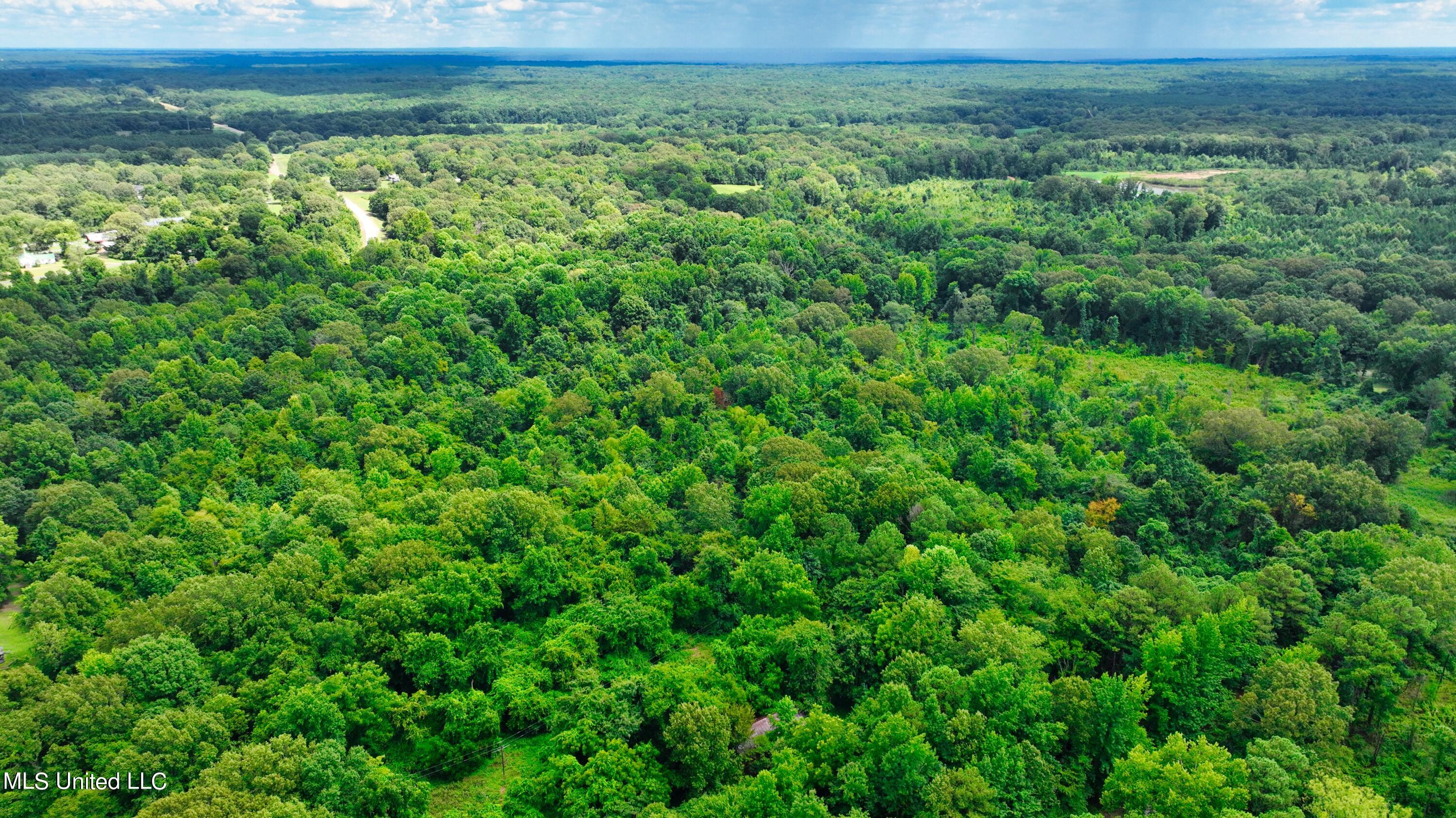 3900 Holly Grove Road Como, MS 38619 - Photo 16 of 61 DJI_0032