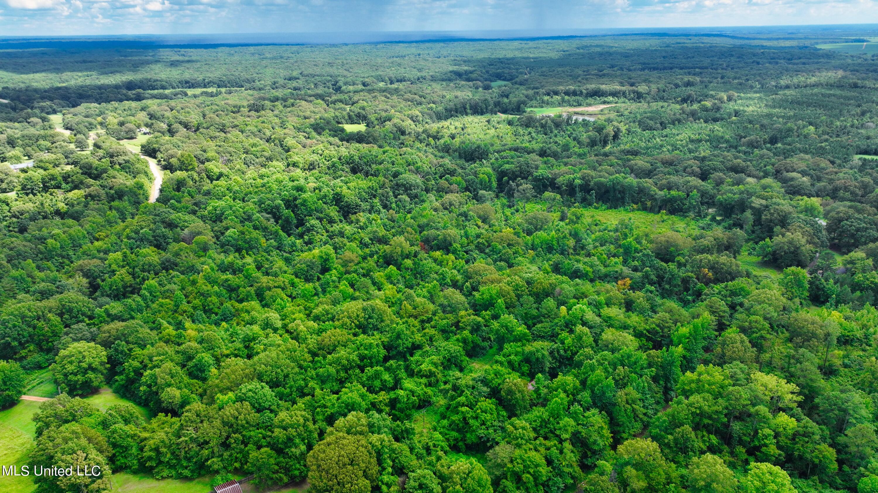 3900 Holly Grove Road Como, MS 38619 - Photo 17 of 61 DJI_0033