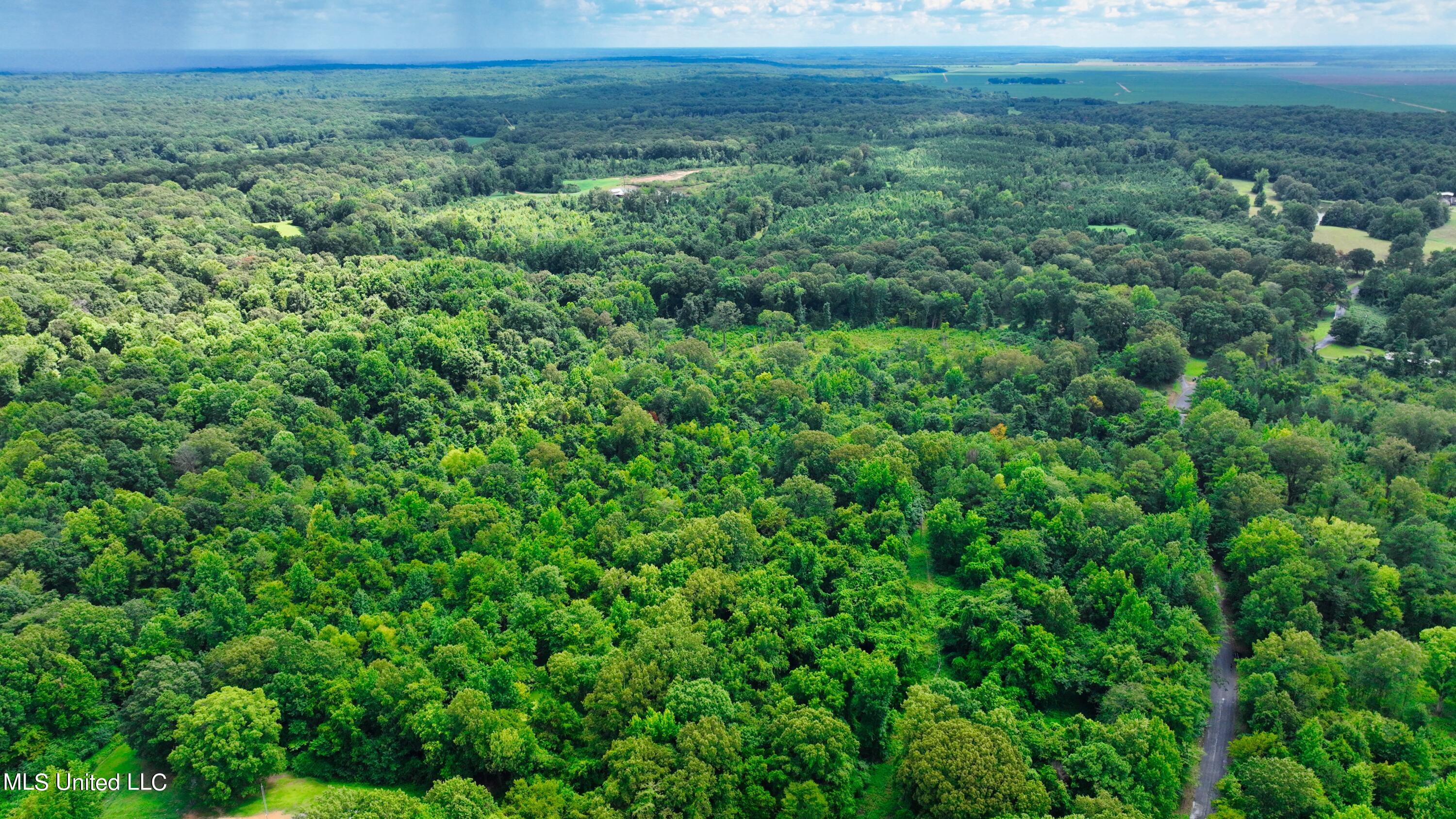 3900 Holly Grove Road Como, MS 38619 - Photo 18 of 61 DJI_0034