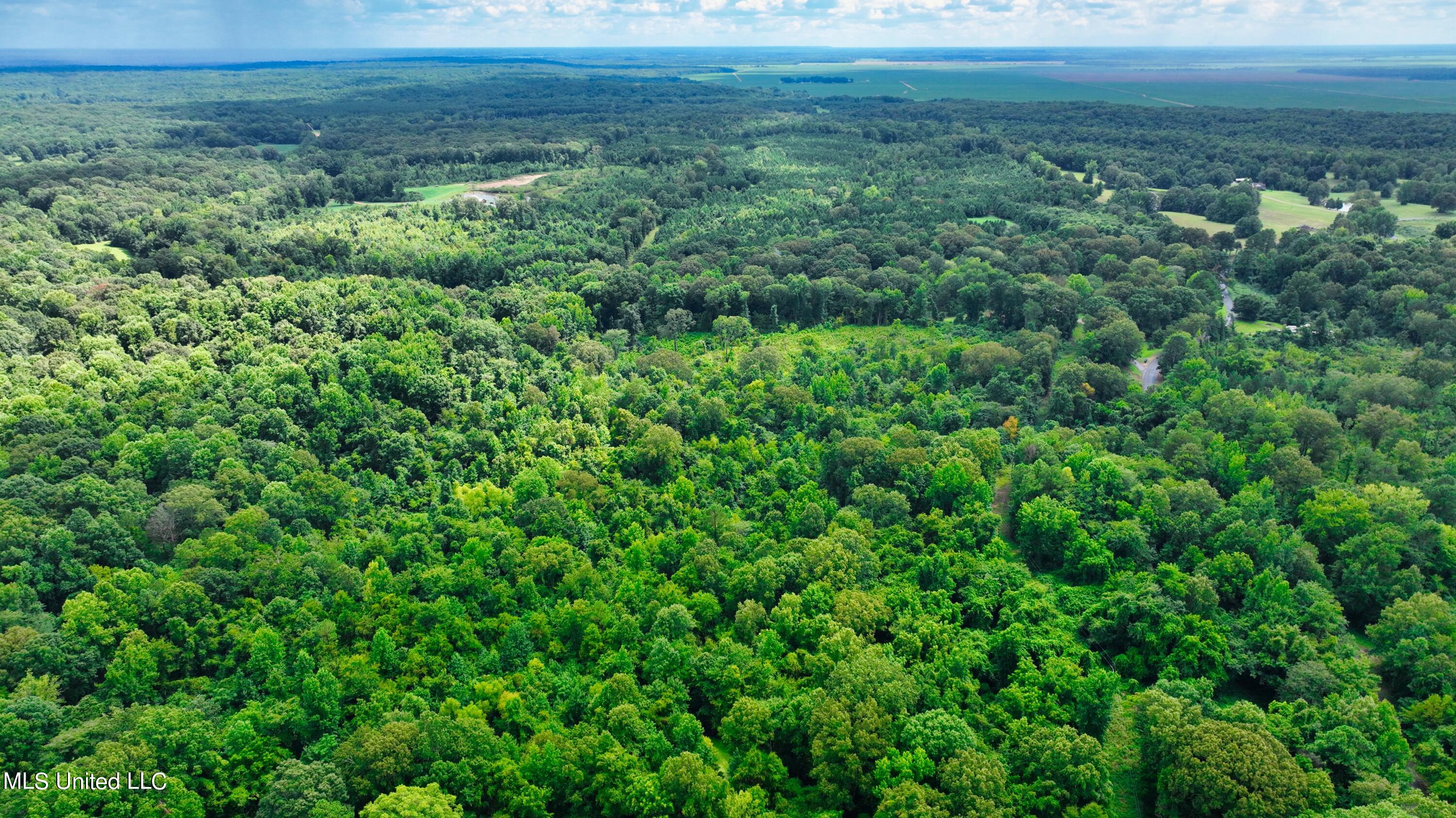 3900 Holly Grove Road Como, MS 38619 - Photo 19 of 61 DJI_0035