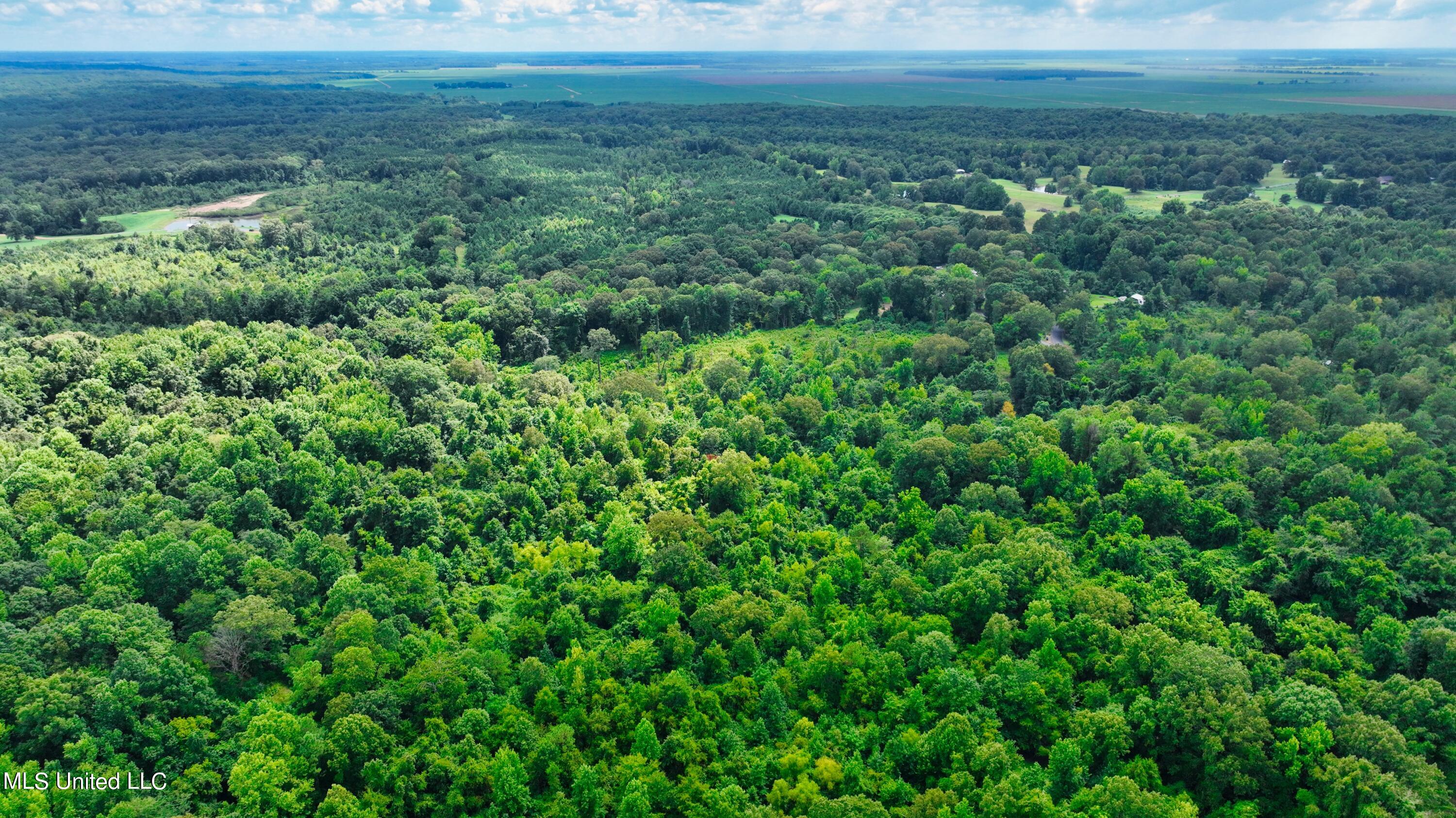 3900 Holly Grove Road Como, MS 38619 - Photo 20 of 61 DJI_0036