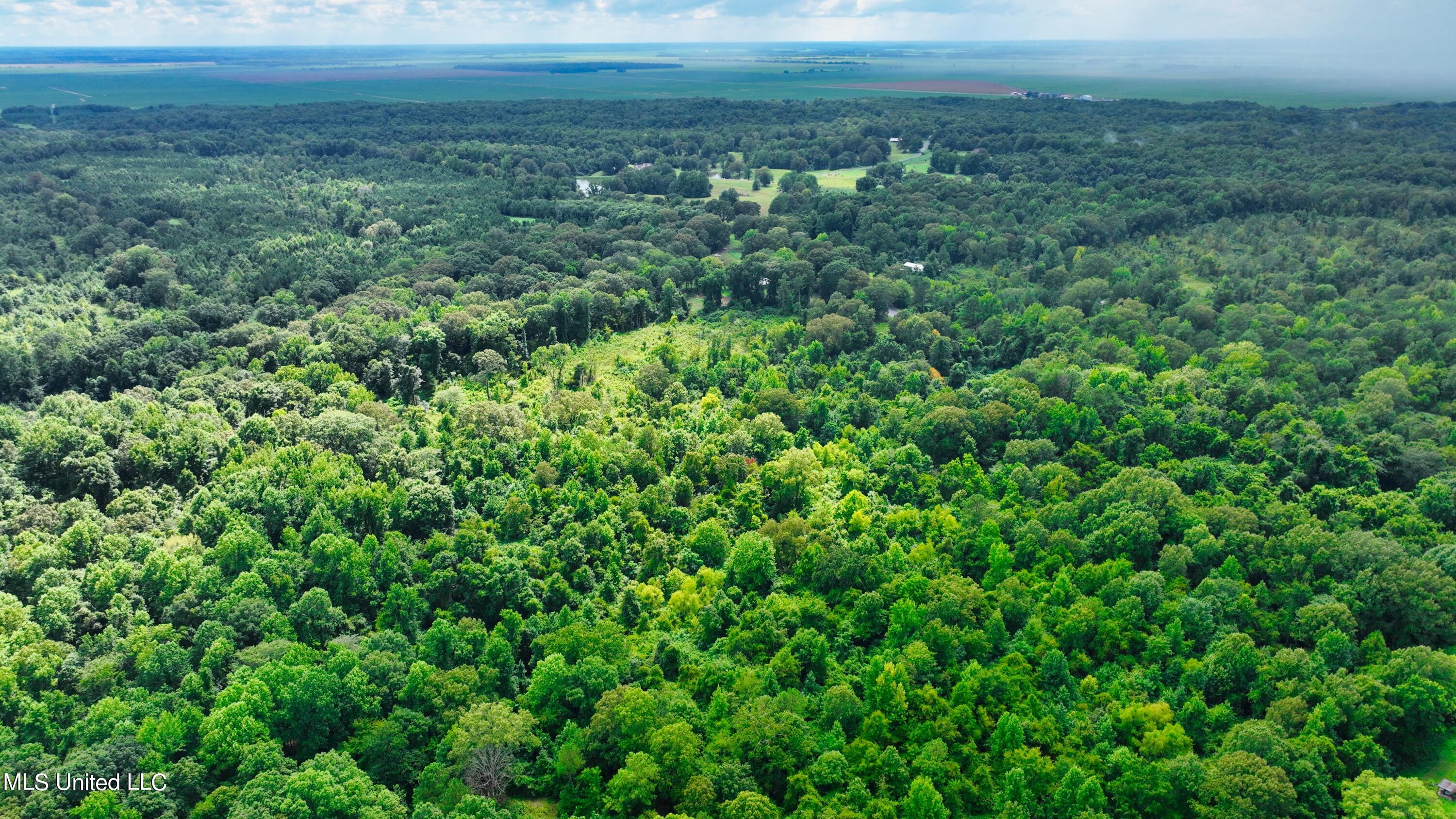 3900 Holly Grove Road Como, MS 38619 - Photo 21 of 61 DJI_0037