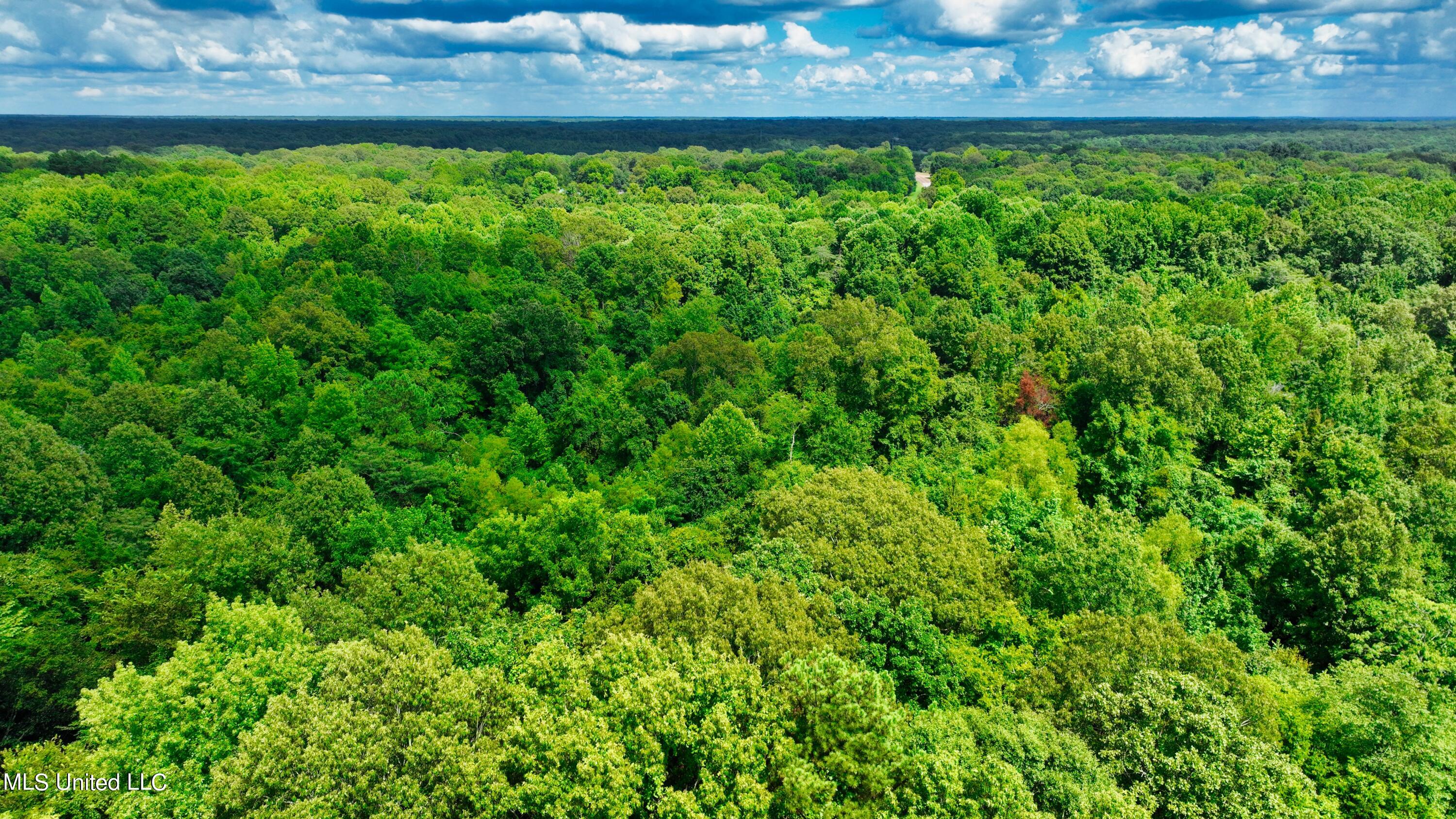 3900 Holly Grove Road Como, MS 38619 - Photo 22 of 61 DJI_0038