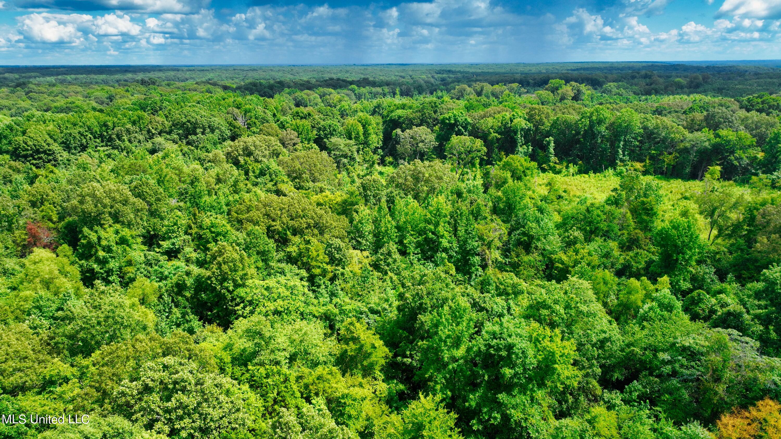 3900 Holly Grove Road Como, MS 38619 - Photo 23 of 61 DJI_0039