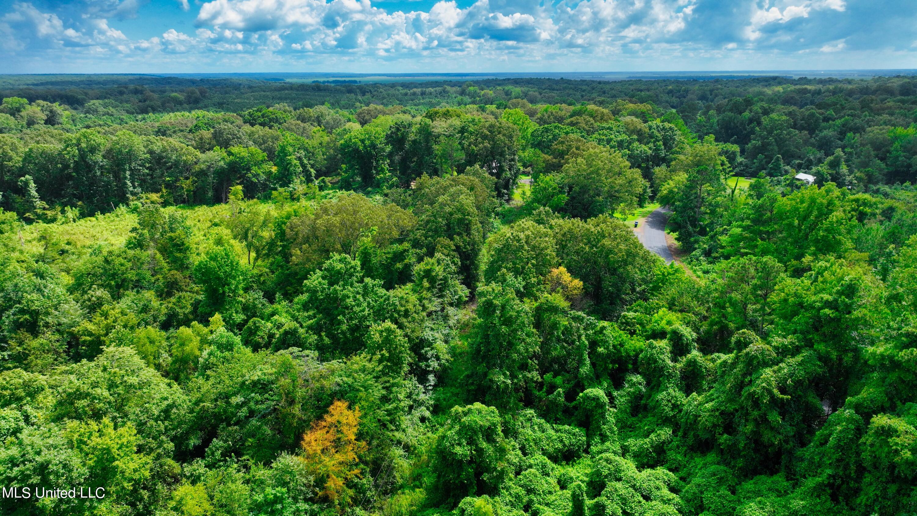 3900 Holly Grove Road Como, MS 38619 - Photo 24 of 61 DJI_0040