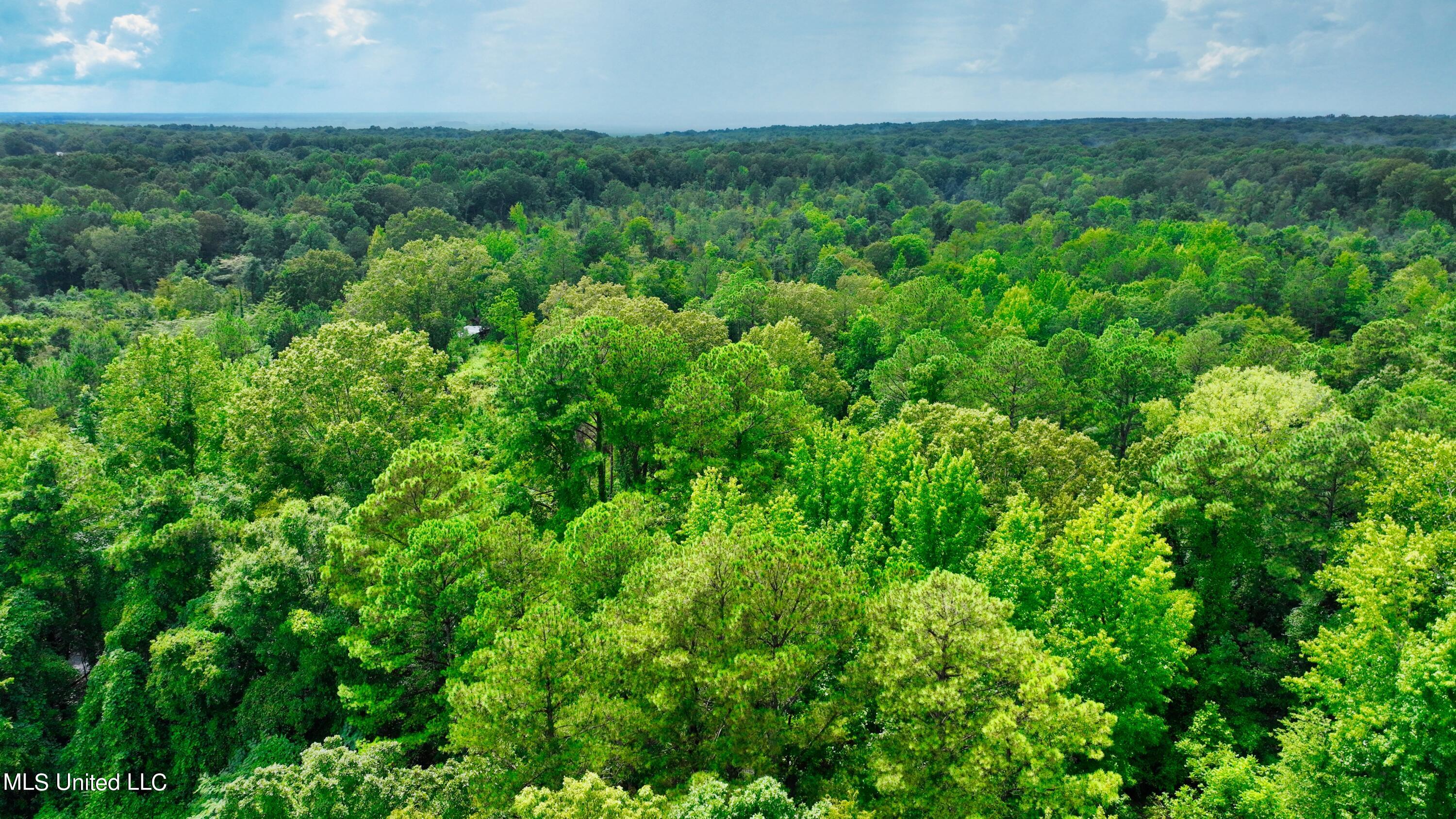 3900 Holly Grove Road Como, MS 38619 - Photo 25 of 61 DJI_0041