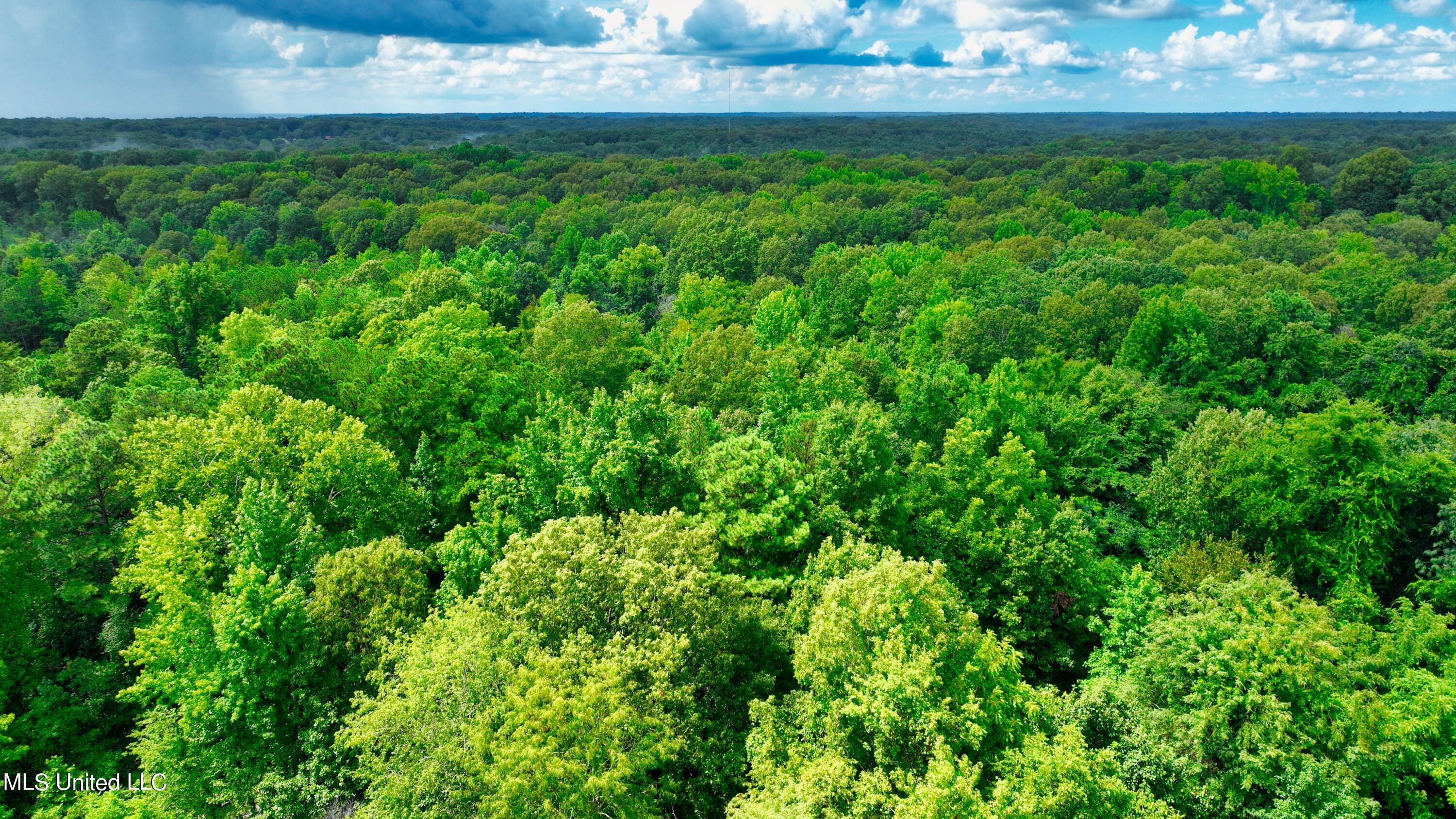 3900 Holly Grove Road Como, MS 38619 - Photo 26 of 61 DJI_0042