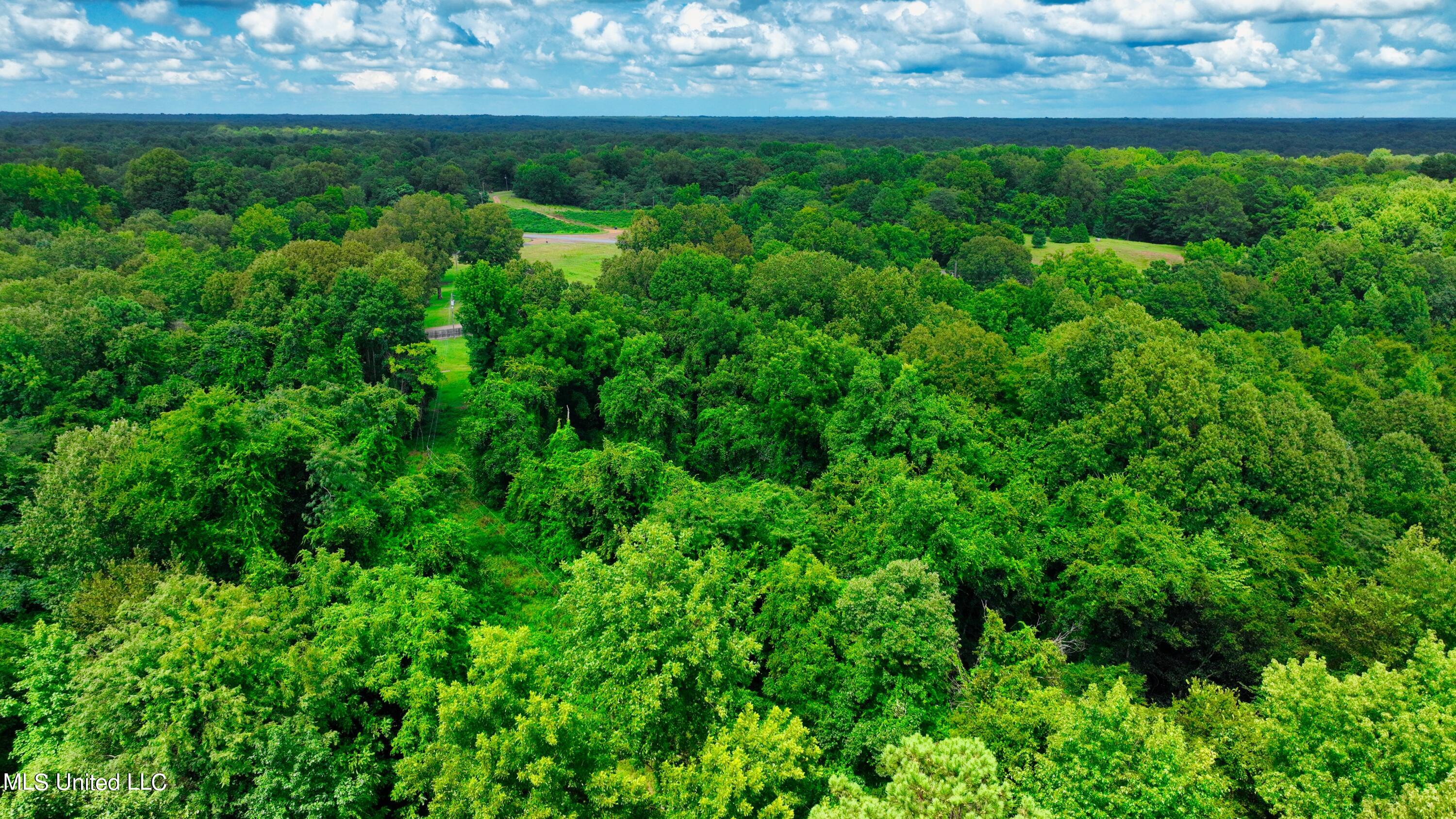 3900 Holly Grove Road Como, MS 38619 - Photo 27 of 61 DJI_0043