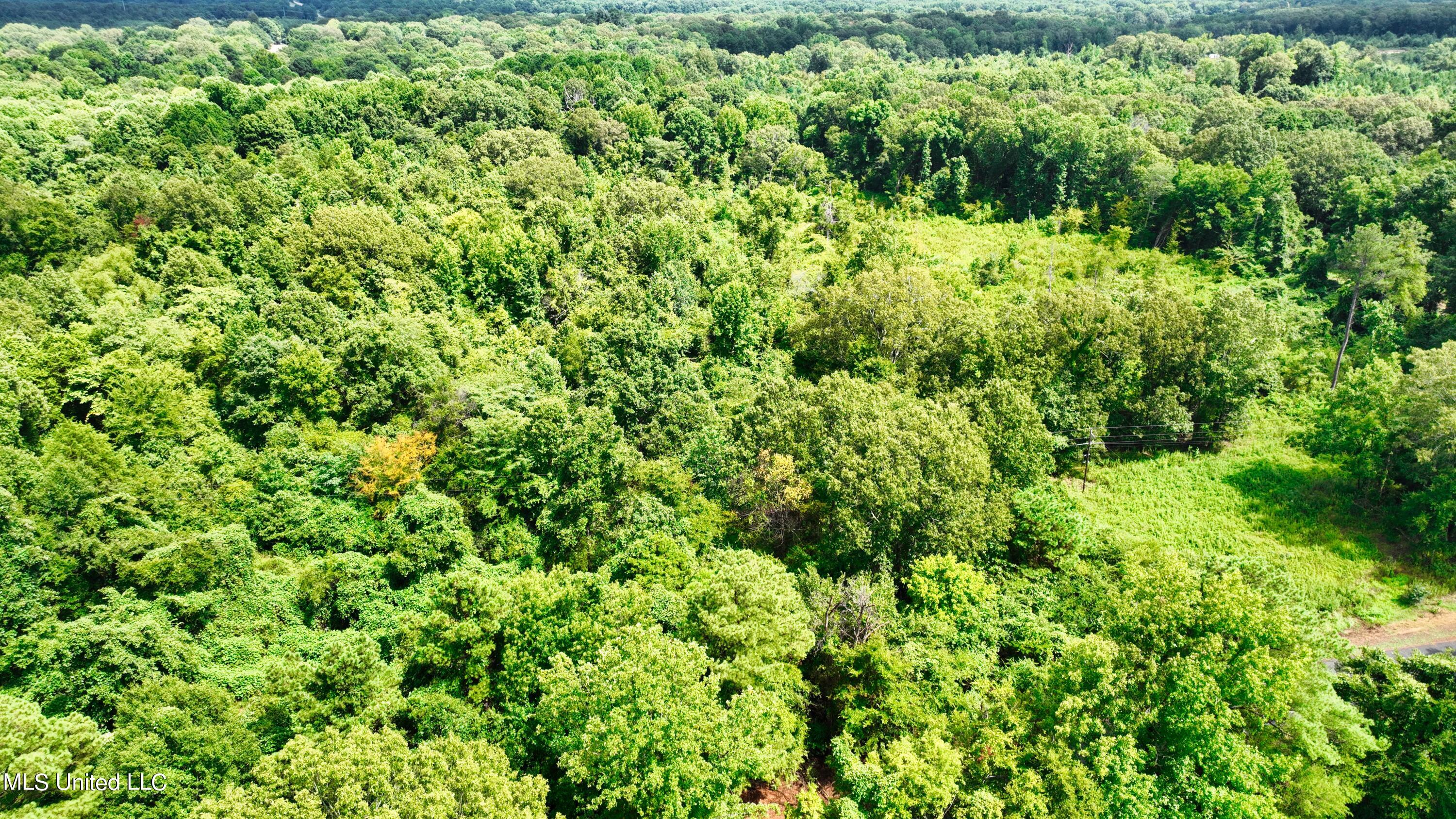 3900 Holly Grove Road Como, MS 38619 - Photo 28 of 61 DJI_0044