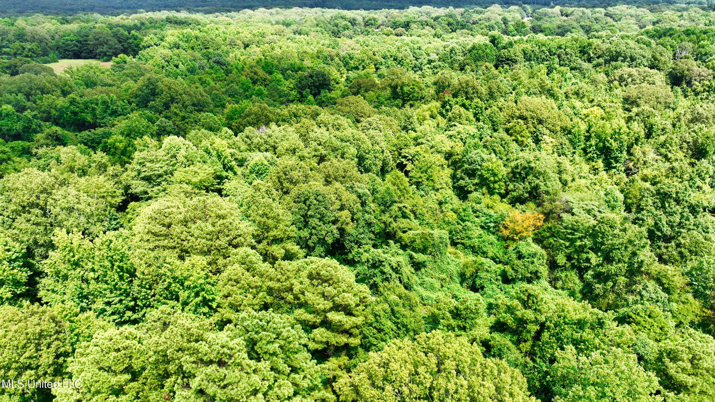 3900 Holly Grove Road Como, MS 38619 - Photo 29 of 61 DJI_0045