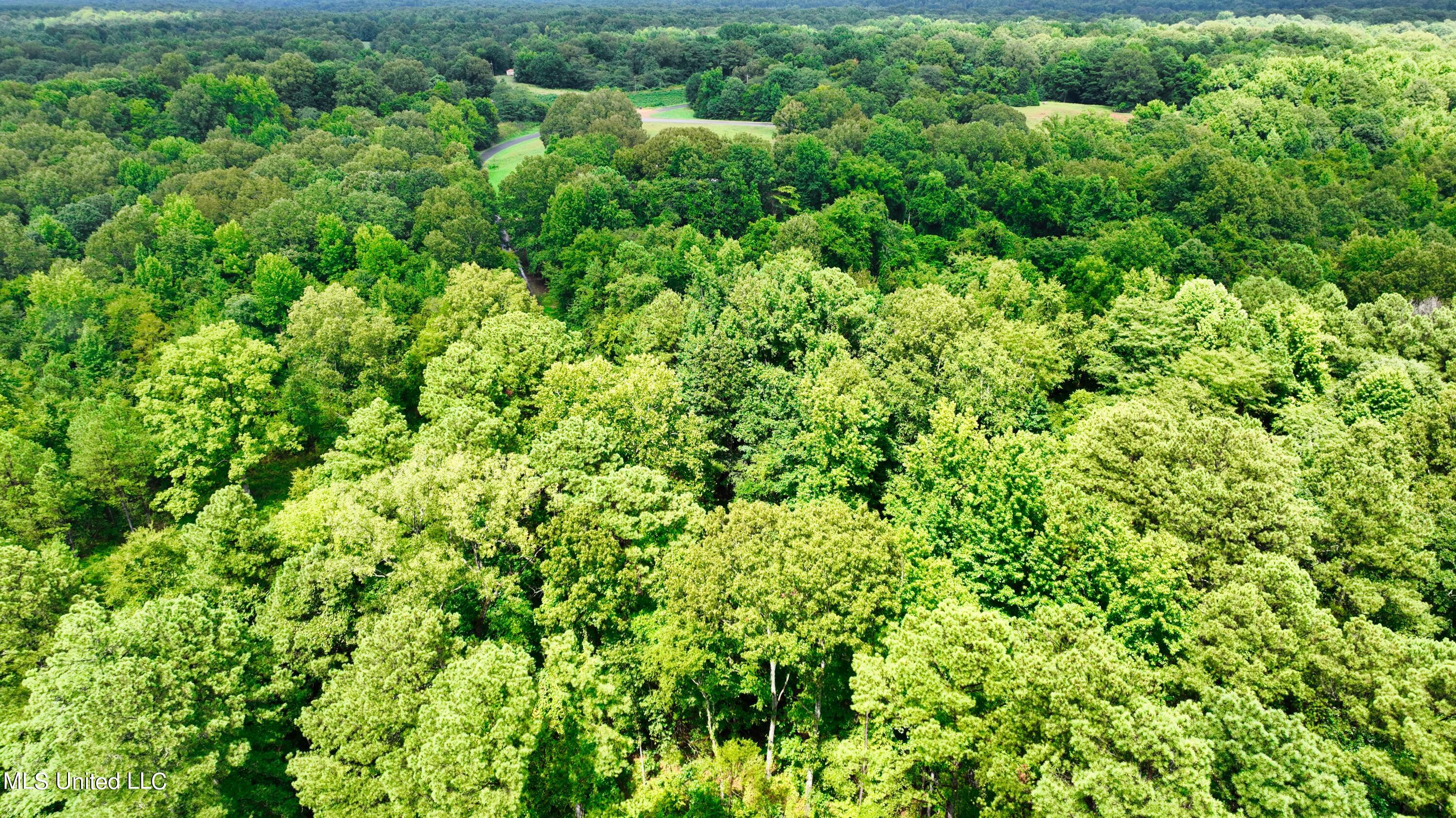 3900 Holly Grove Road Como, MS 38619 - Photo 30 of 61 DJI_0046