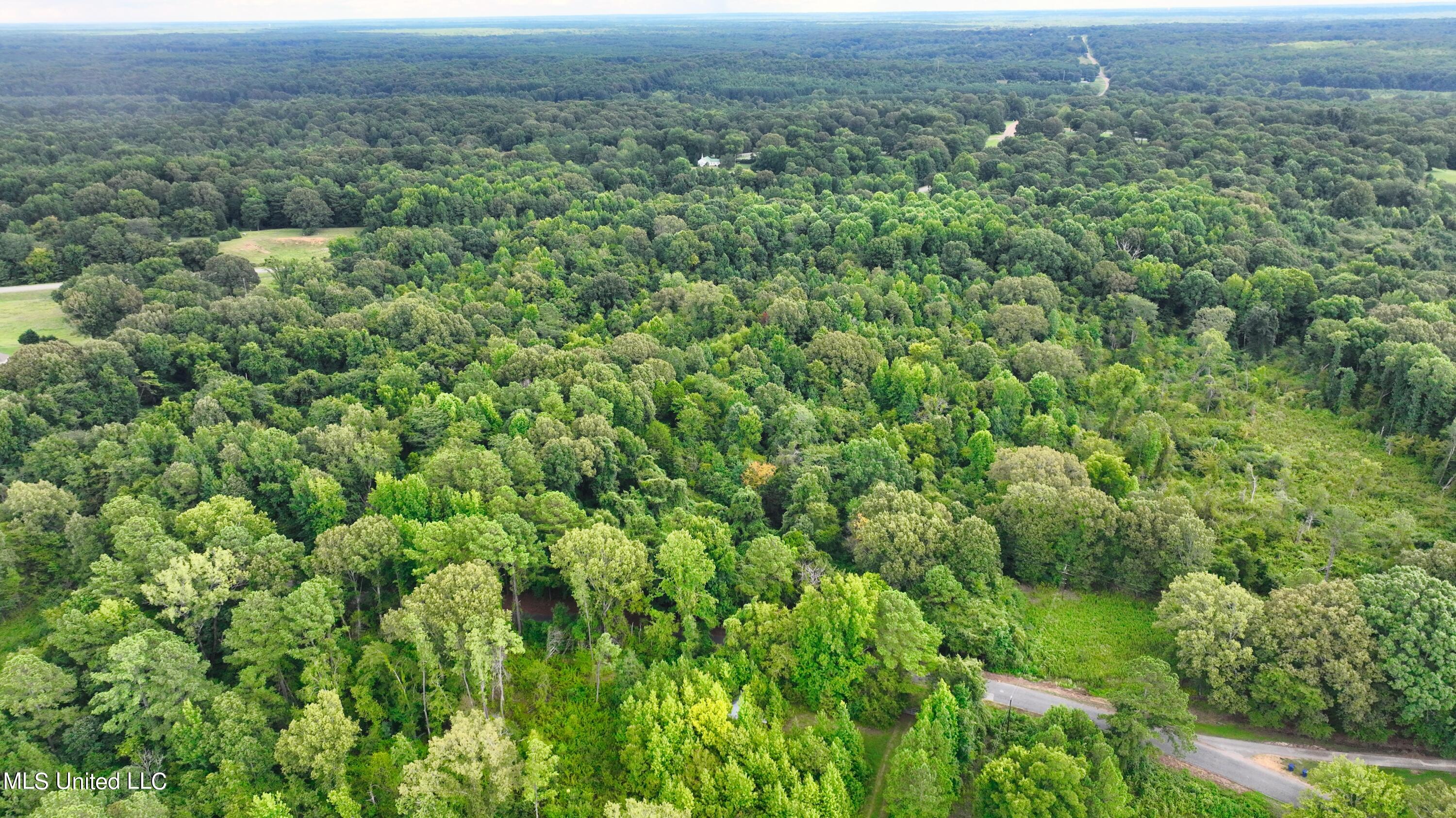 DJI_0019