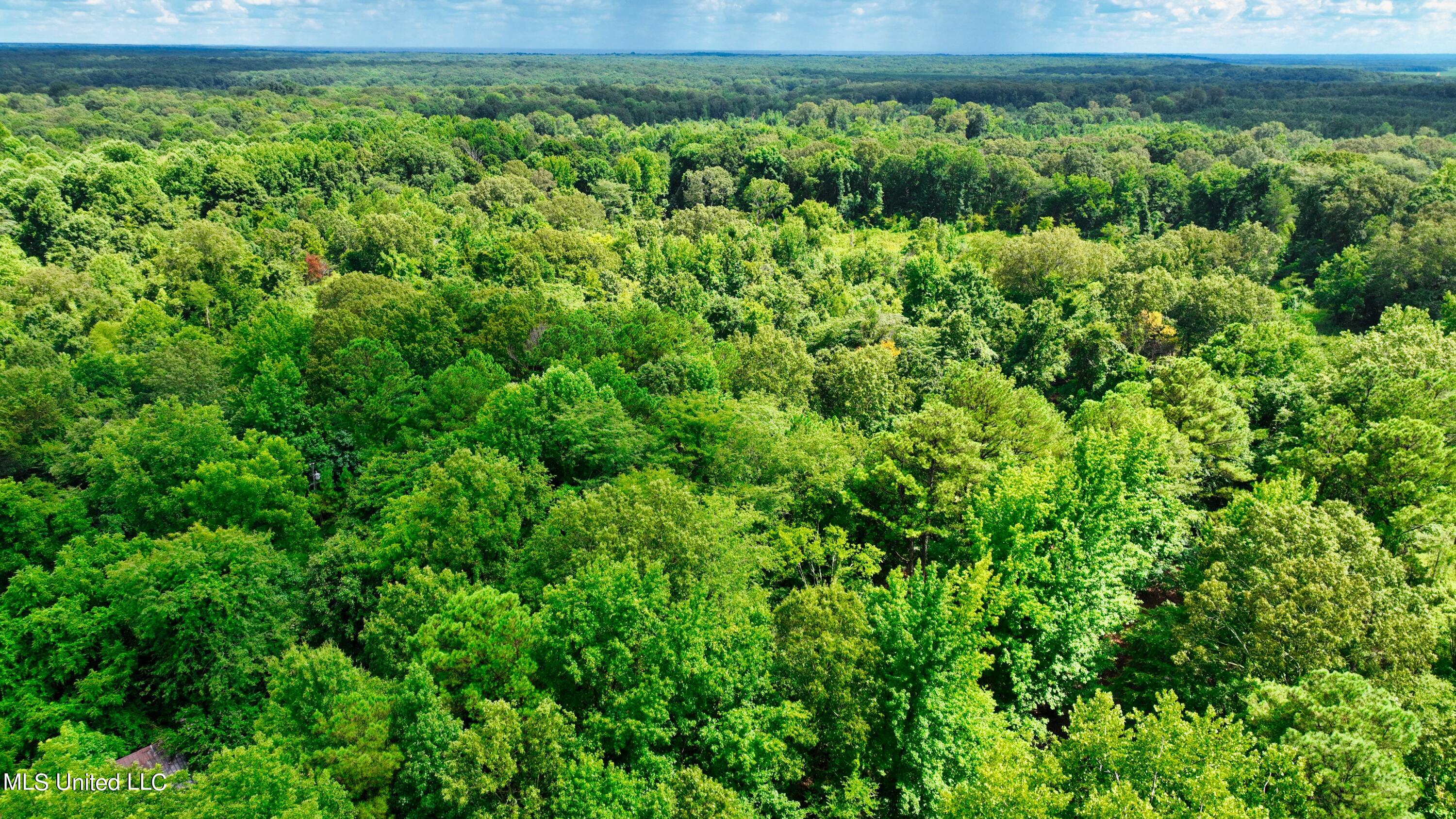 3900 Holly Grove Road Como, MS 38619 - Photo 31 of 61 DJI_0047