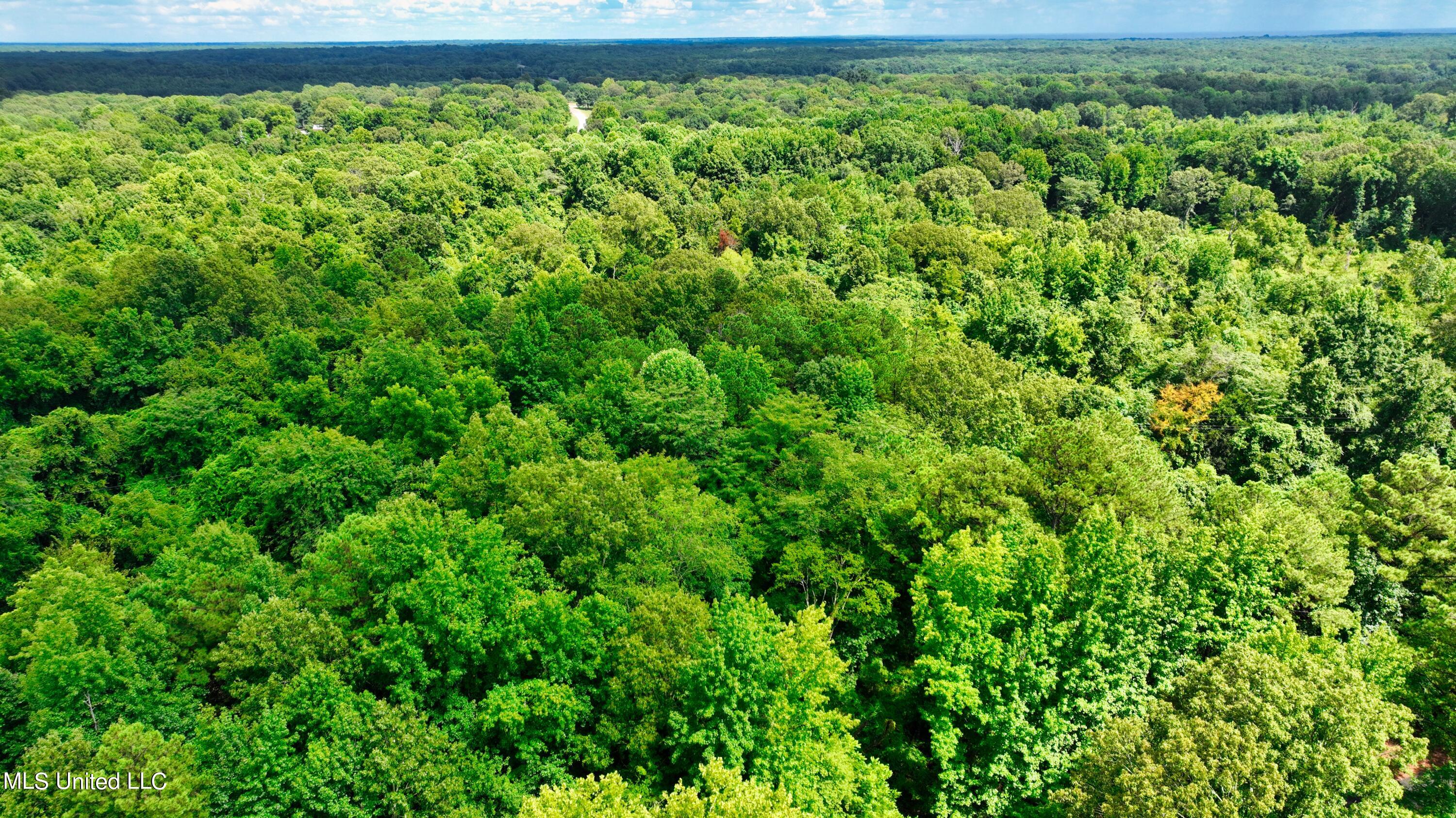 3900 Holly Grove Road Como, MS 38619 - Photo 32 of 61 DJI_0048