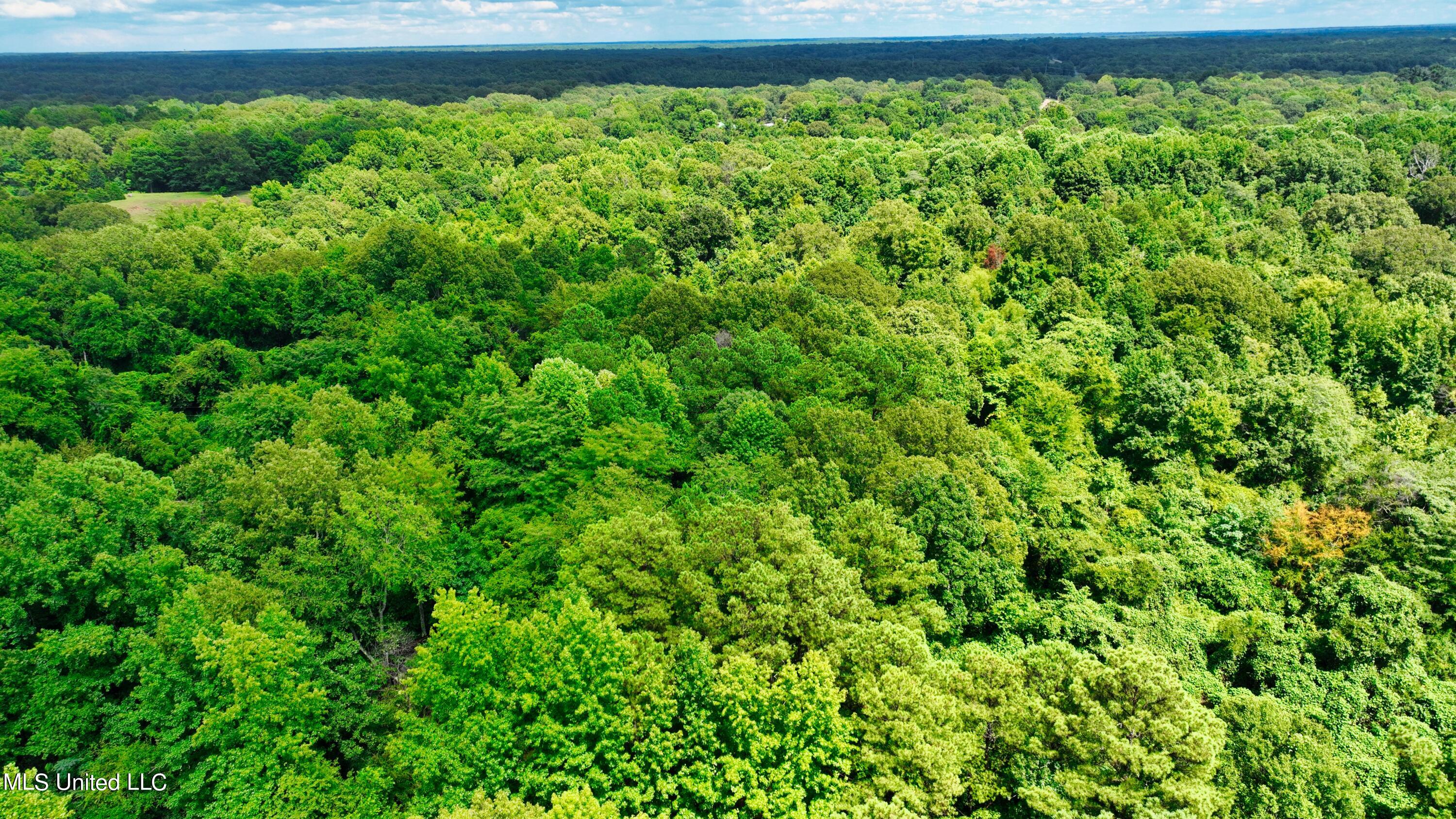 3900 Holly Grove Road Como, MS 38619 - Photo 33 of 61 DJI_0049