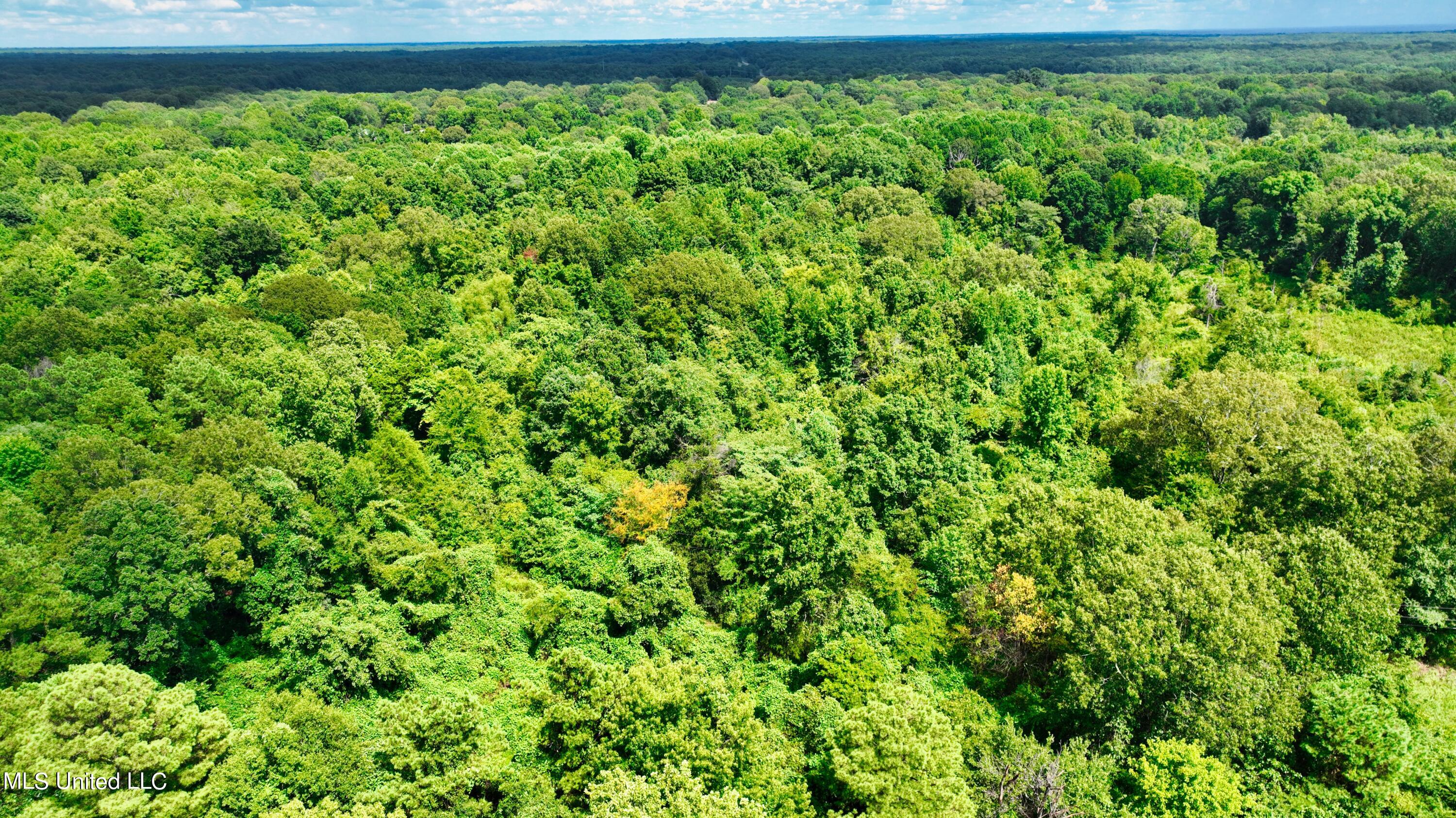 3900 Holly Grove Road Como, MS 38619 - Photo 34 of 61 DJI_0050